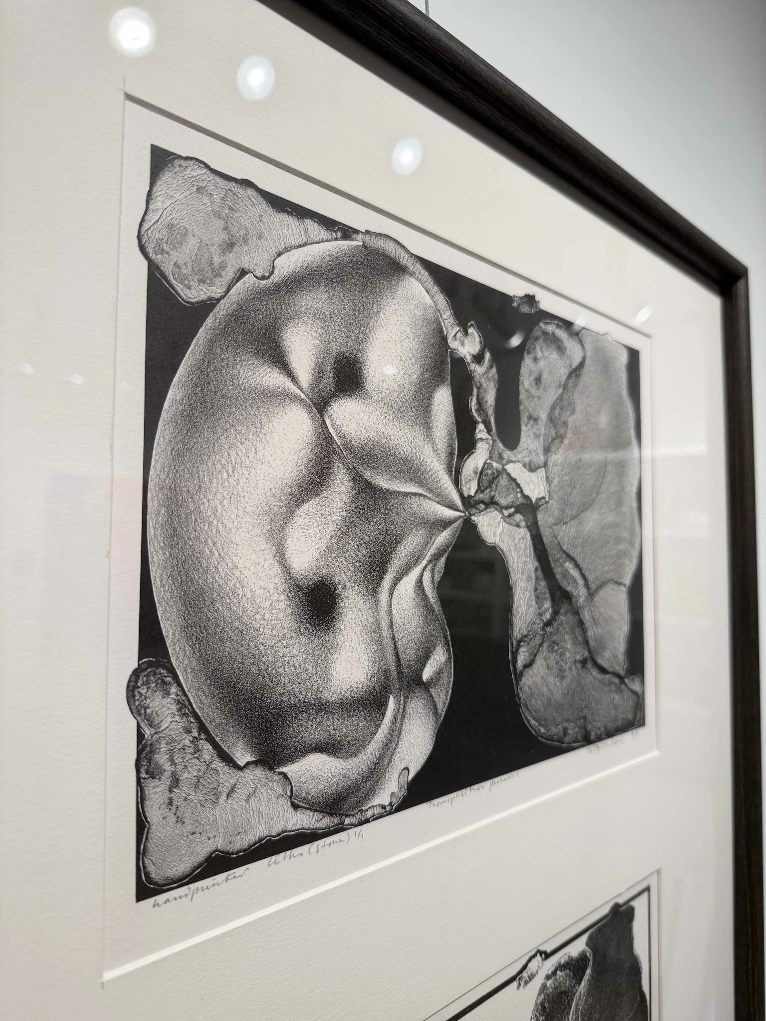 Photo 2026-02-13, 10 40 13 AM.jpg