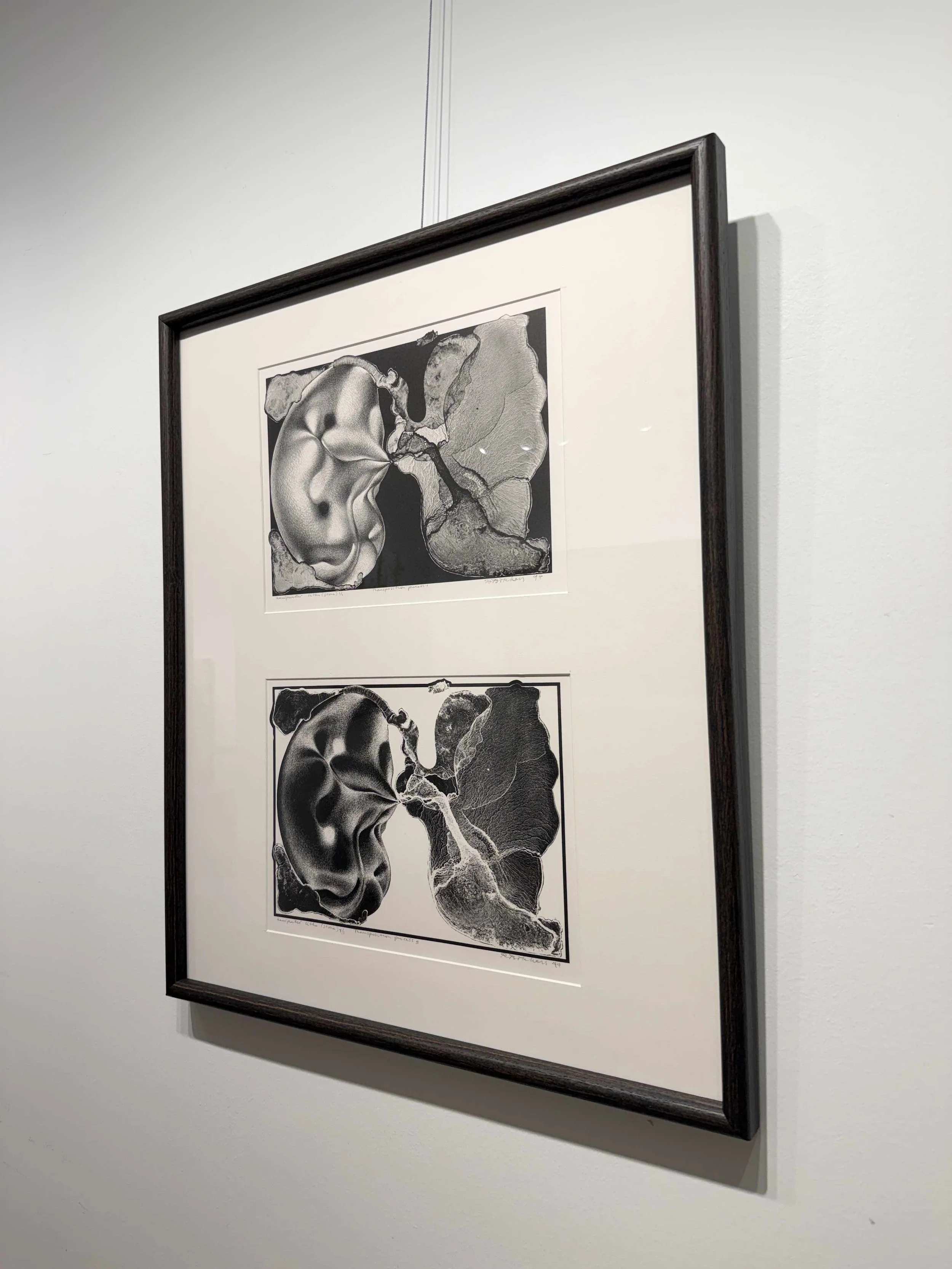 Photo 2026-02-13, 10 39 33 AM.jpg