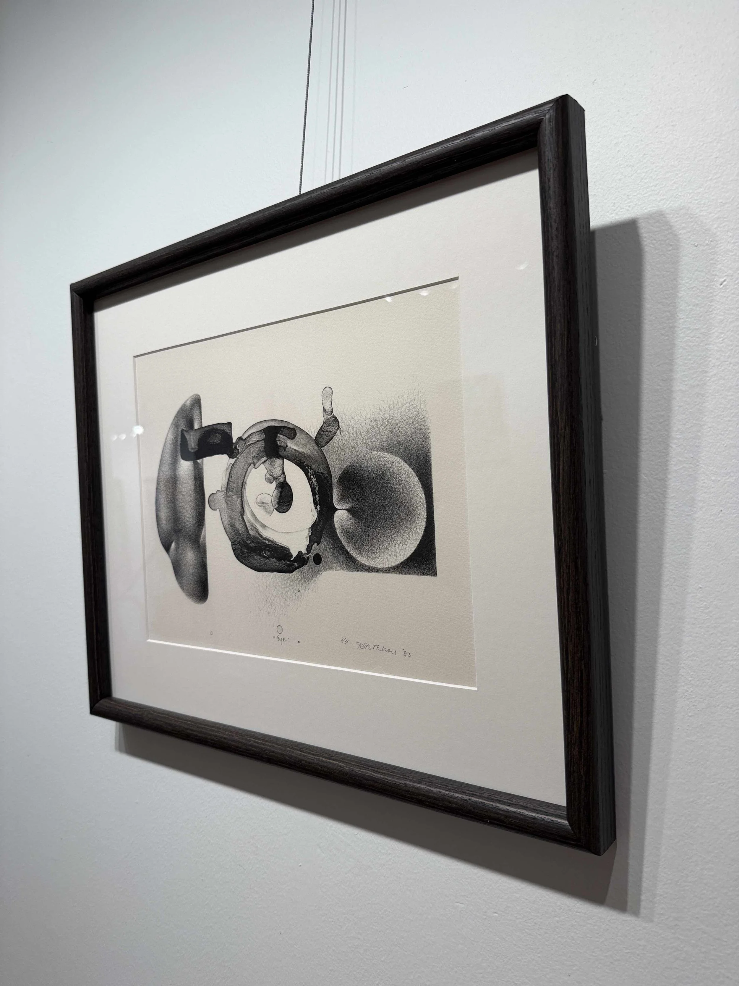 Photo 2026-02-19, 12 28 17 PM.jpg