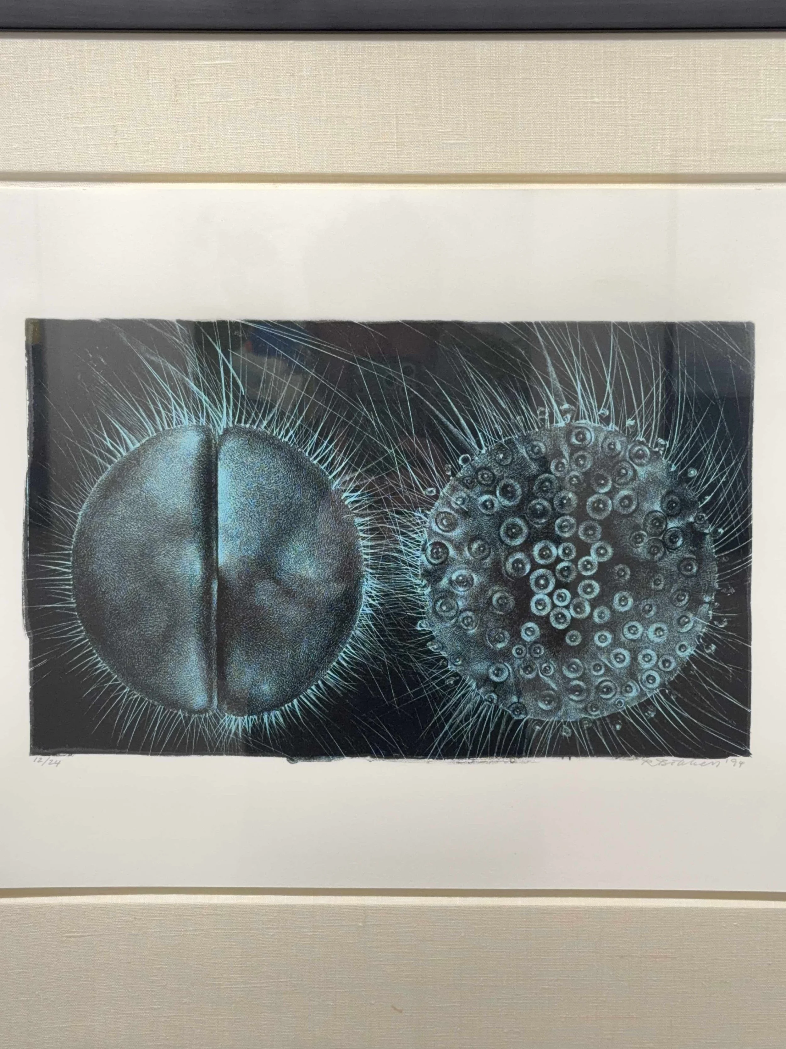 Photo 2026-04-01, 2 55 43 PM.jpg