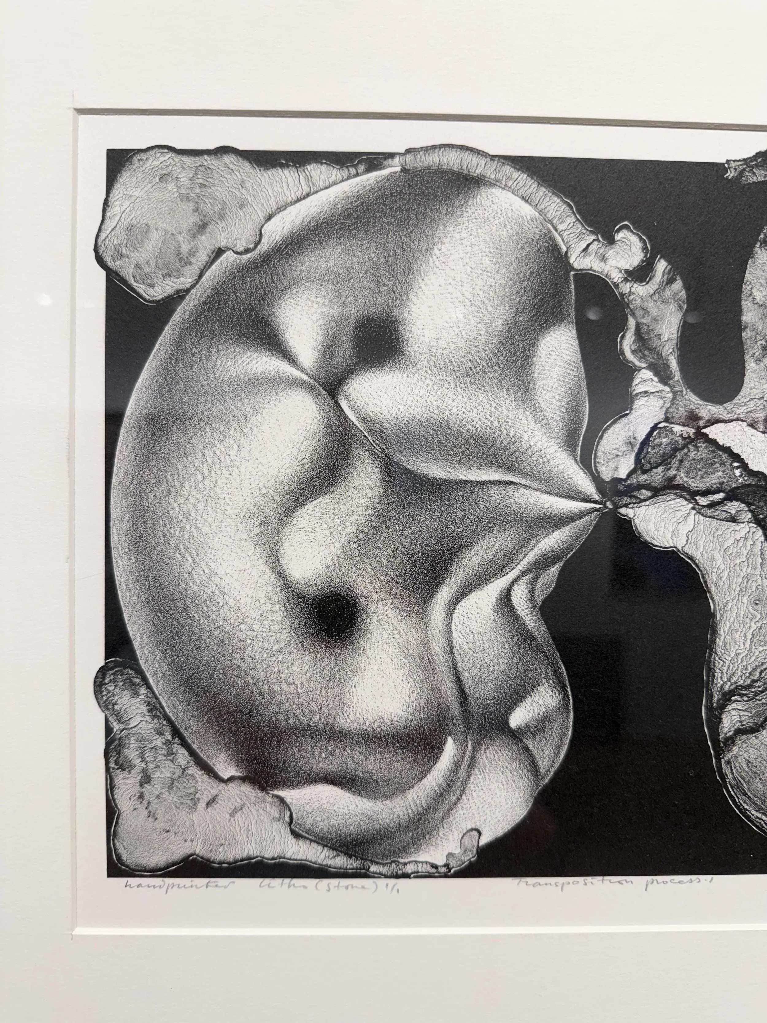 Photo 2026-02-13, 10 40 00 AM.jpg