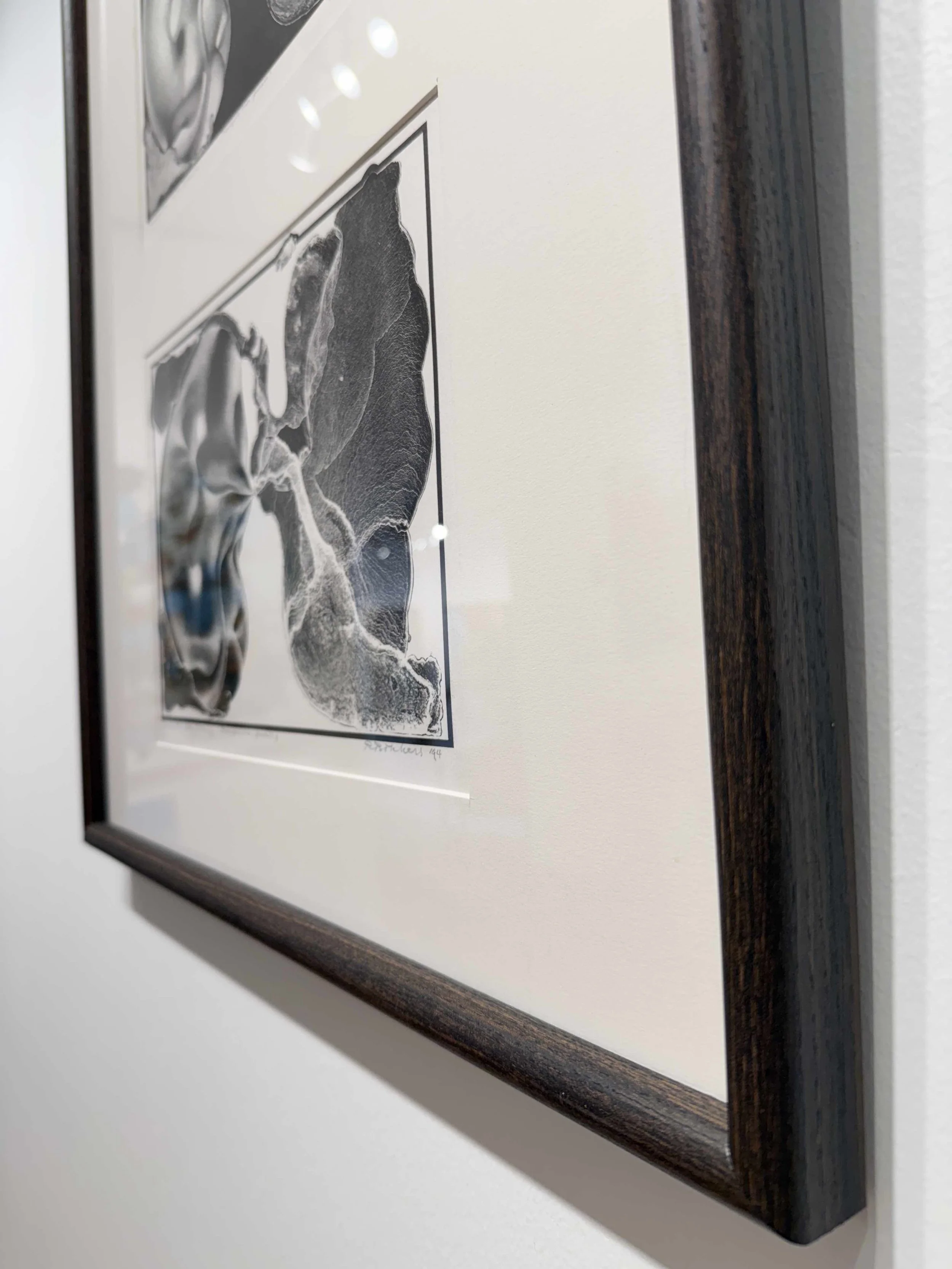 Photo 2026-02-13, 10 39 41 AM.jpg