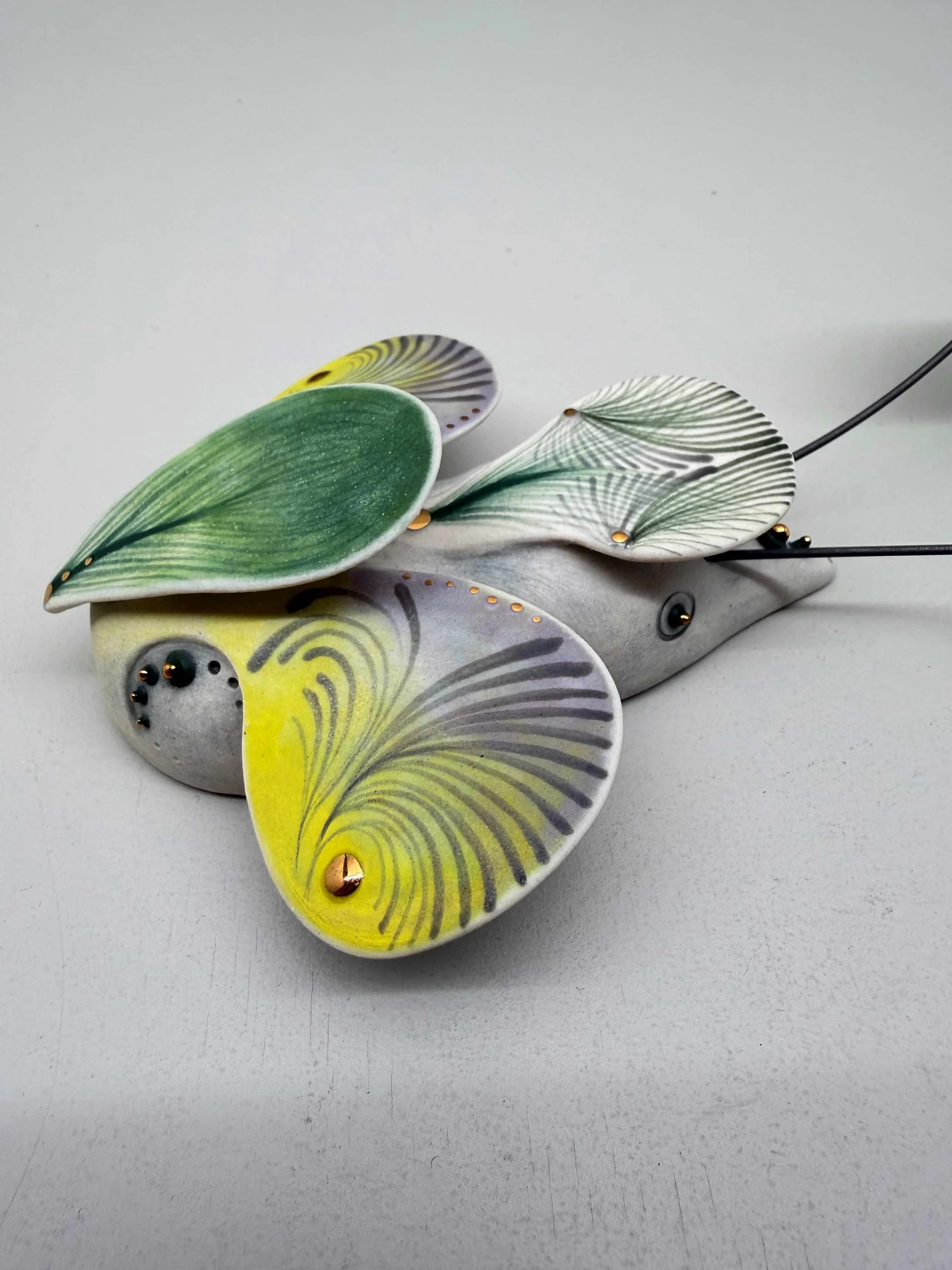 Photo 2026-02-12, 2 18 11 PM.jpg