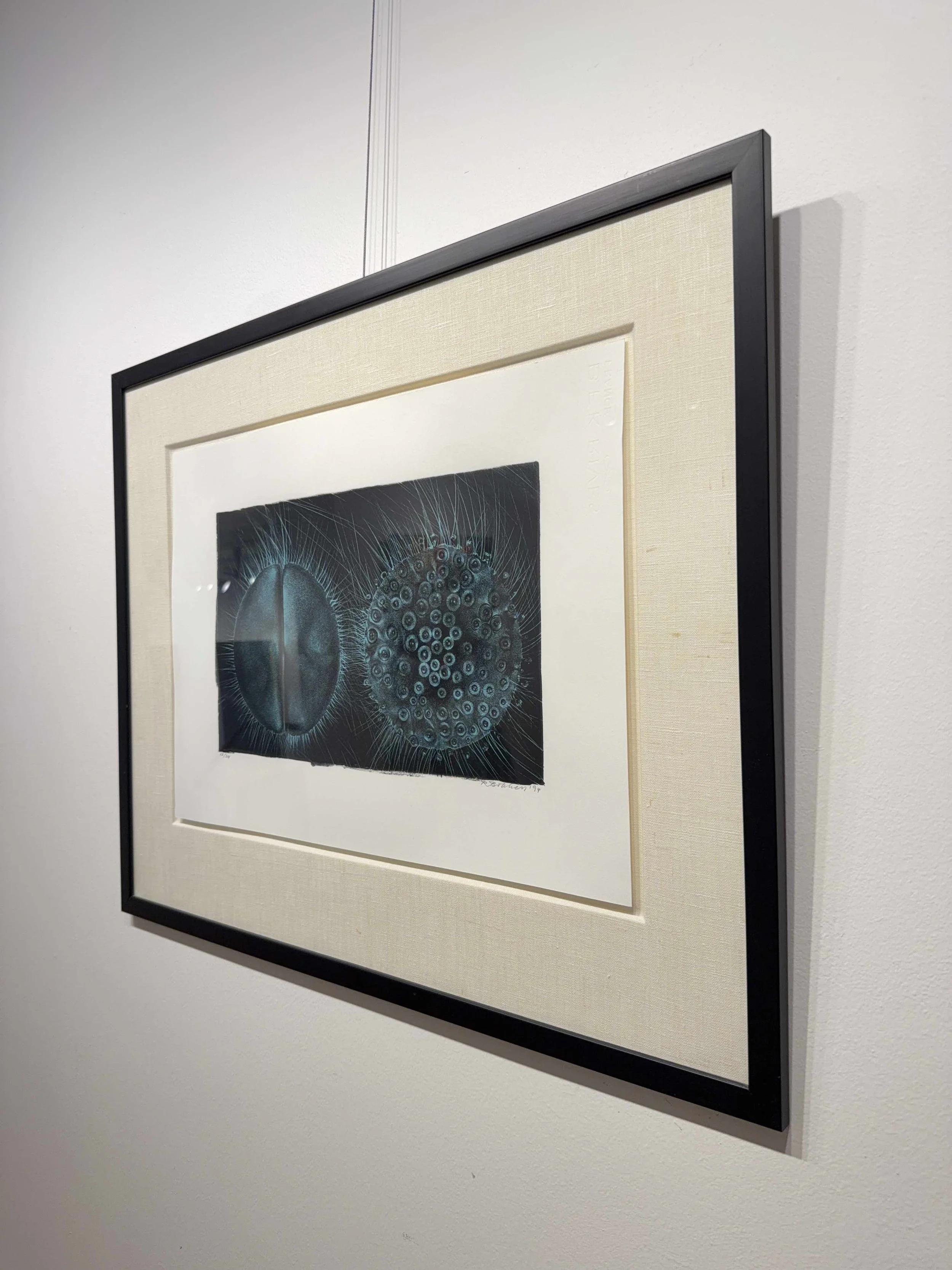 Photo 2026-04-01, 2 54 56 PM.jpg