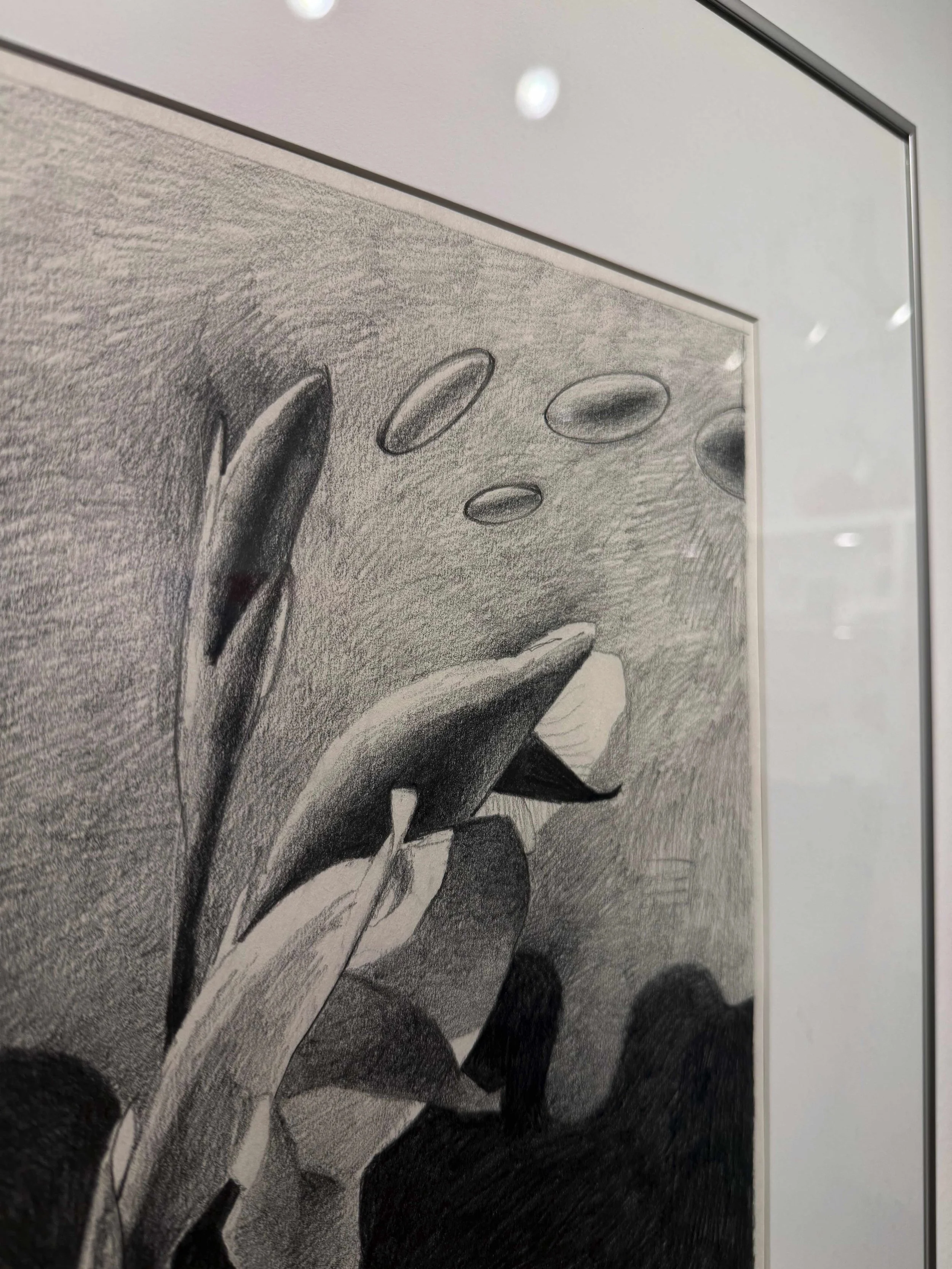 Photo 2026-02-10, 12 41 08 PM.jpg