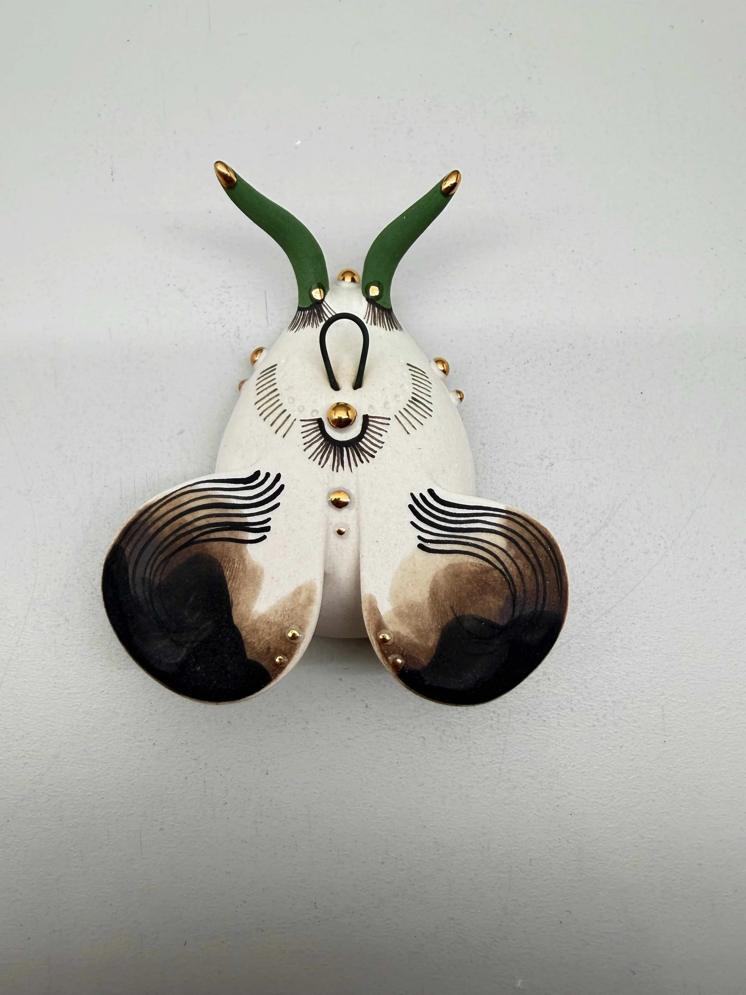 Photo 2026-02-12, 2 20 19 PM.jpg