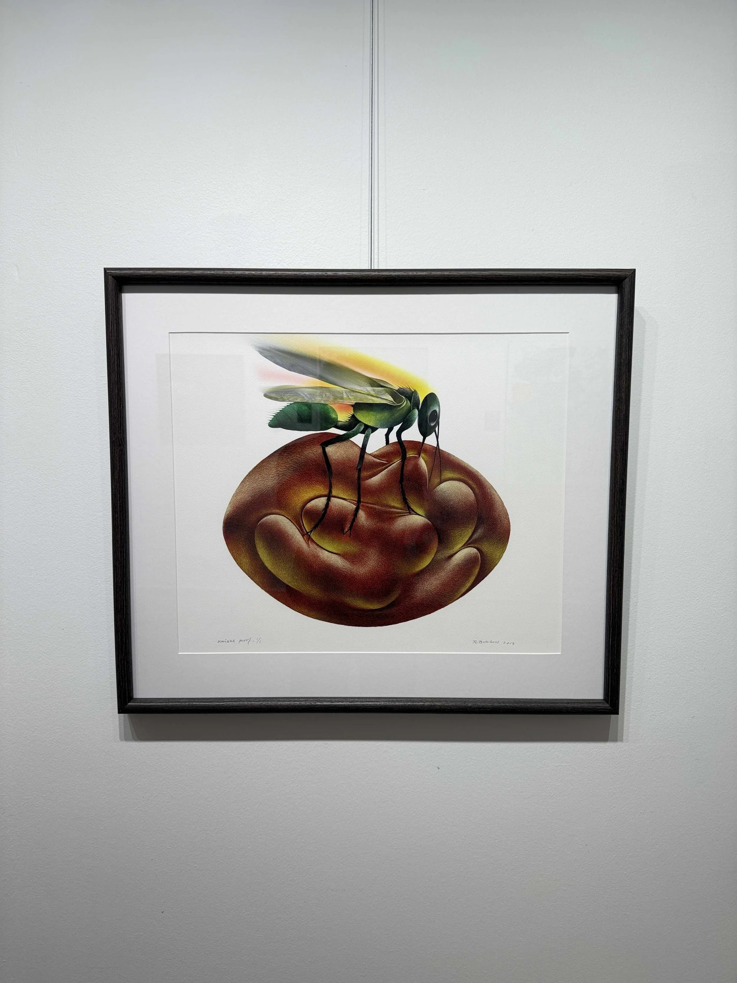 Photo 2026-02-18, 3 16 49 PM.jpg