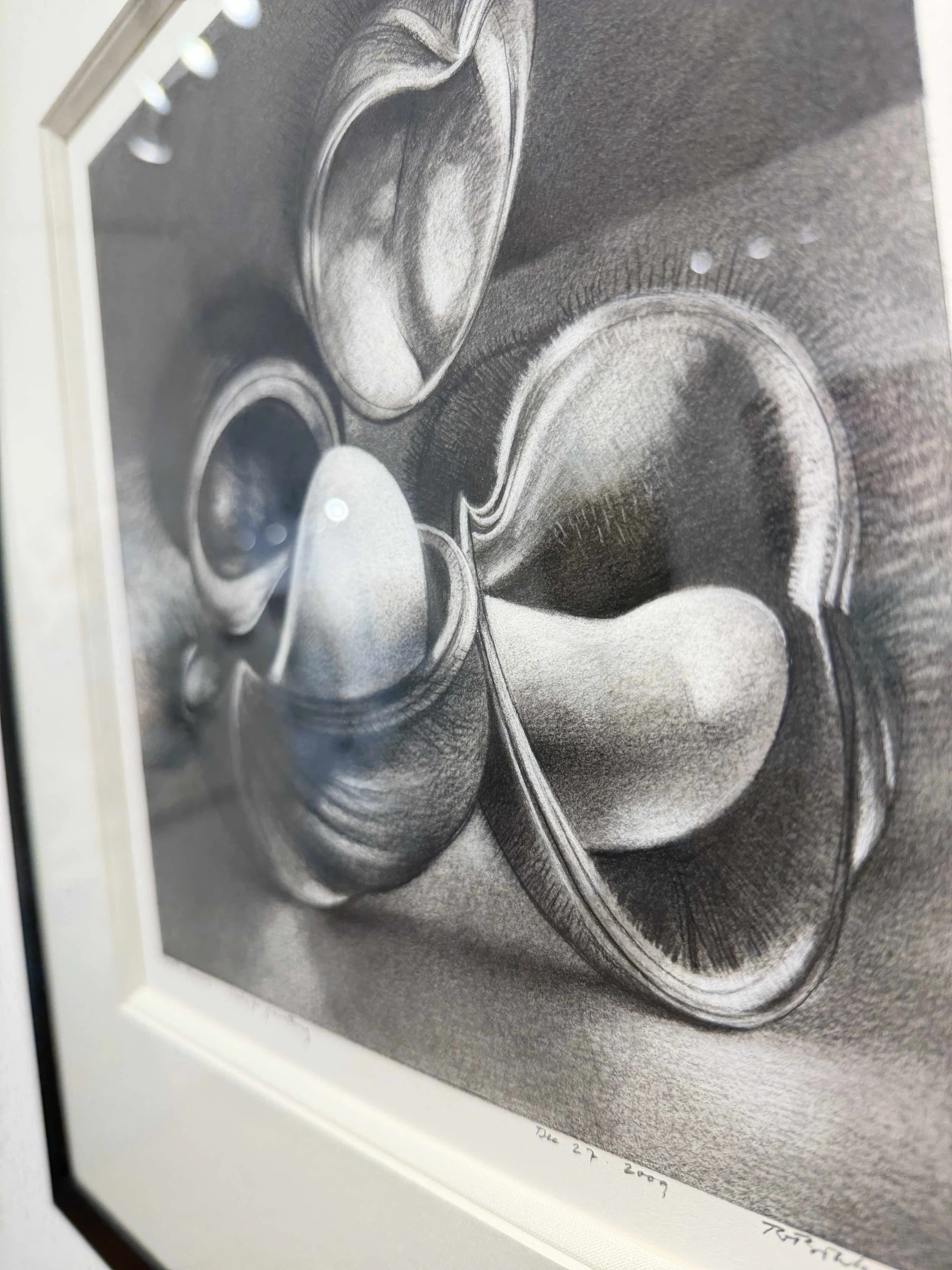 Photo 2026-02-10, 12 31 55 PM.jpg