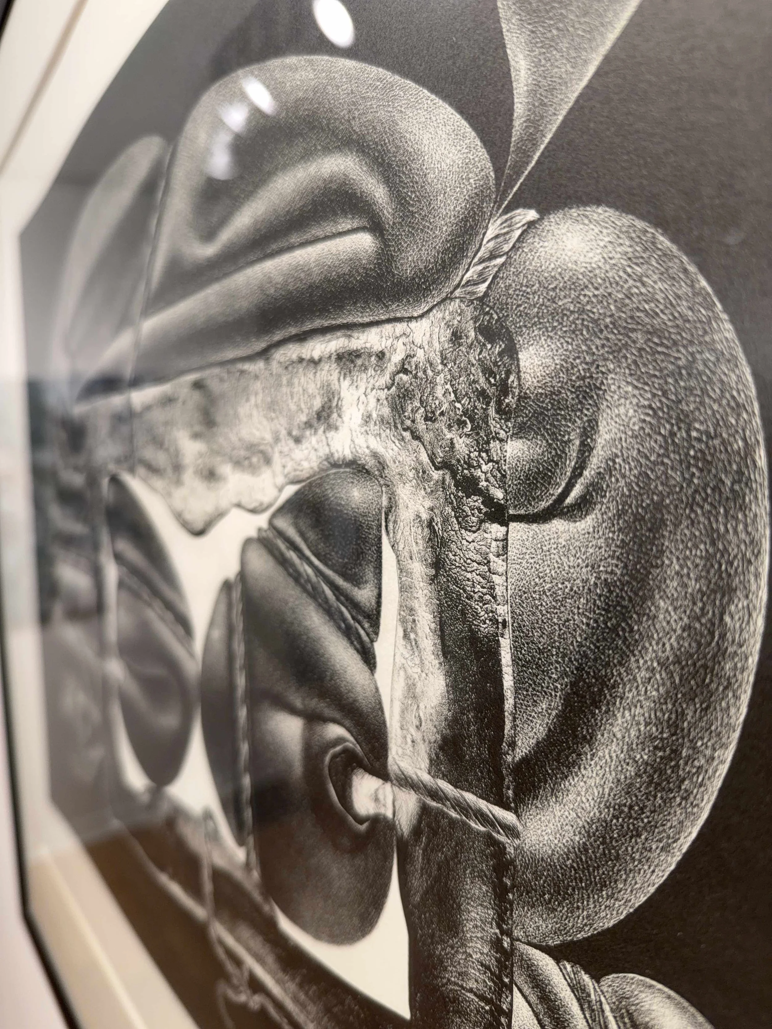 Photo 2026-04-01, 3 06 15 PM.jpg