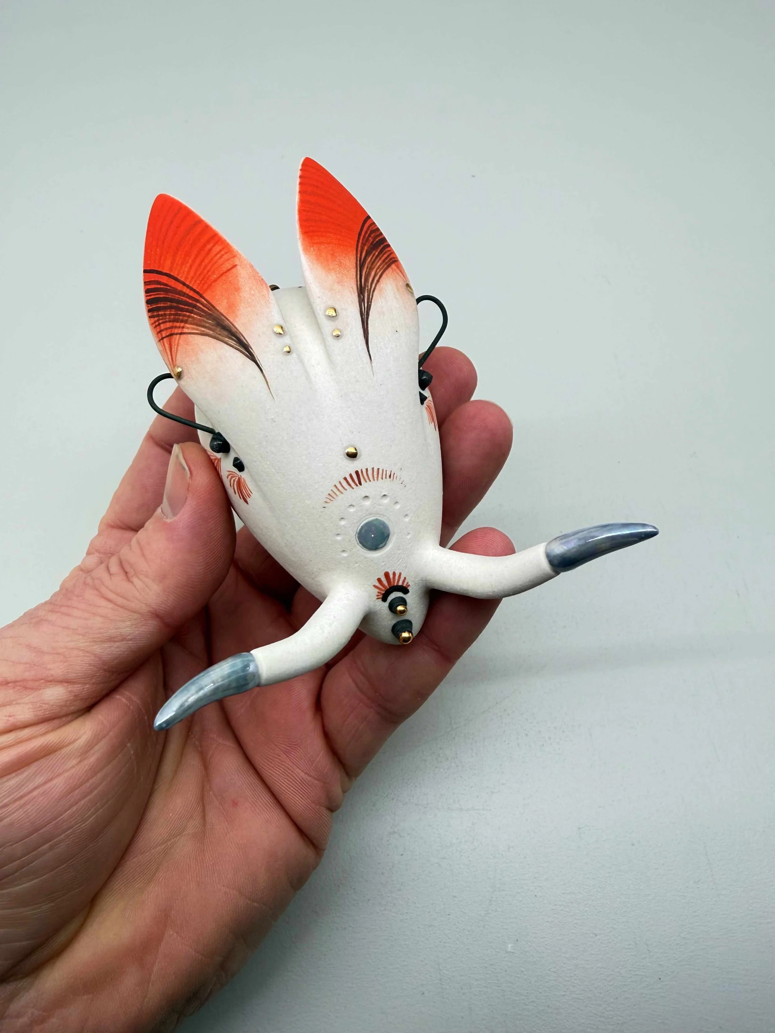 Photo 2026-02-12, 2 29 36 PM.jpg