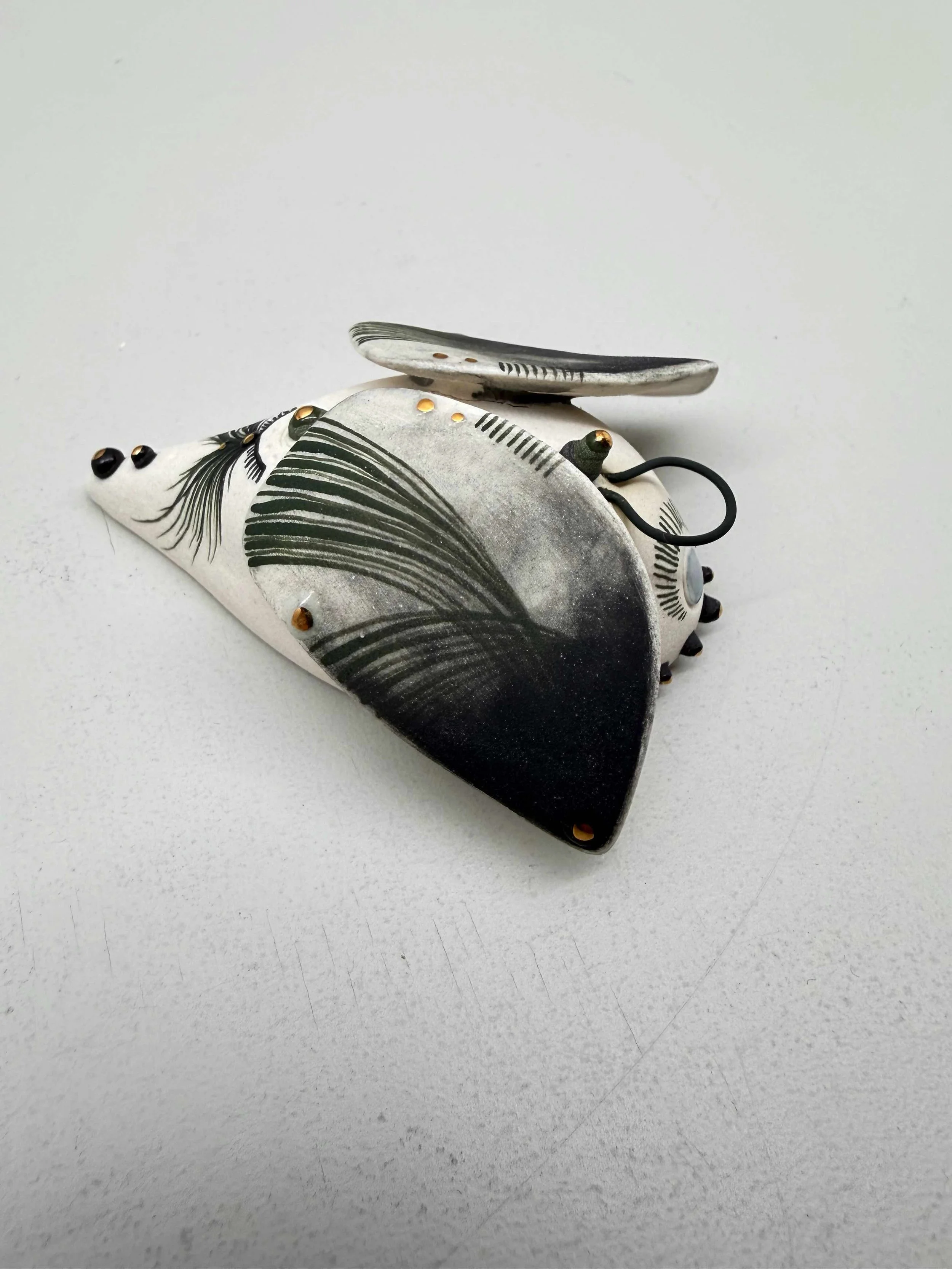 Photo 2026-02-12, 2 31 55 PM.jpg