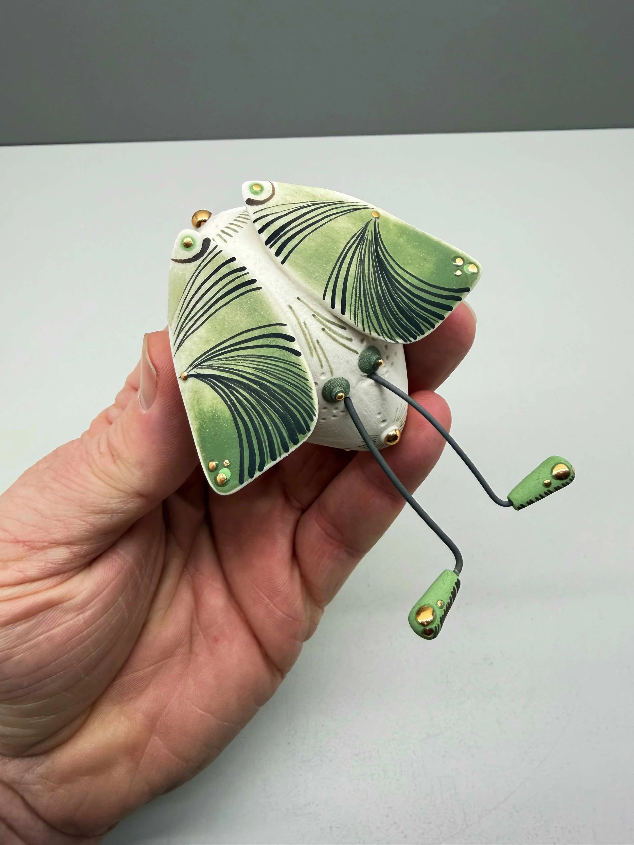 Photo 2026-02-12, 2 22 53 PM.jpg