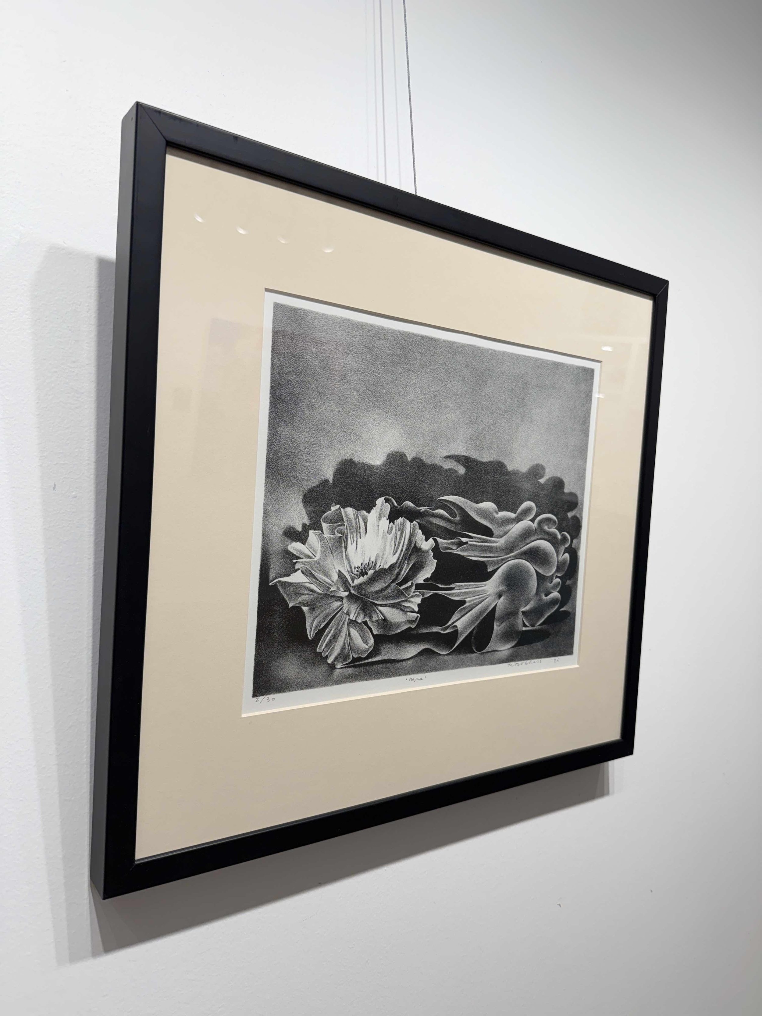 Photo 2026-02-10, 12 33 29 PM.jpg