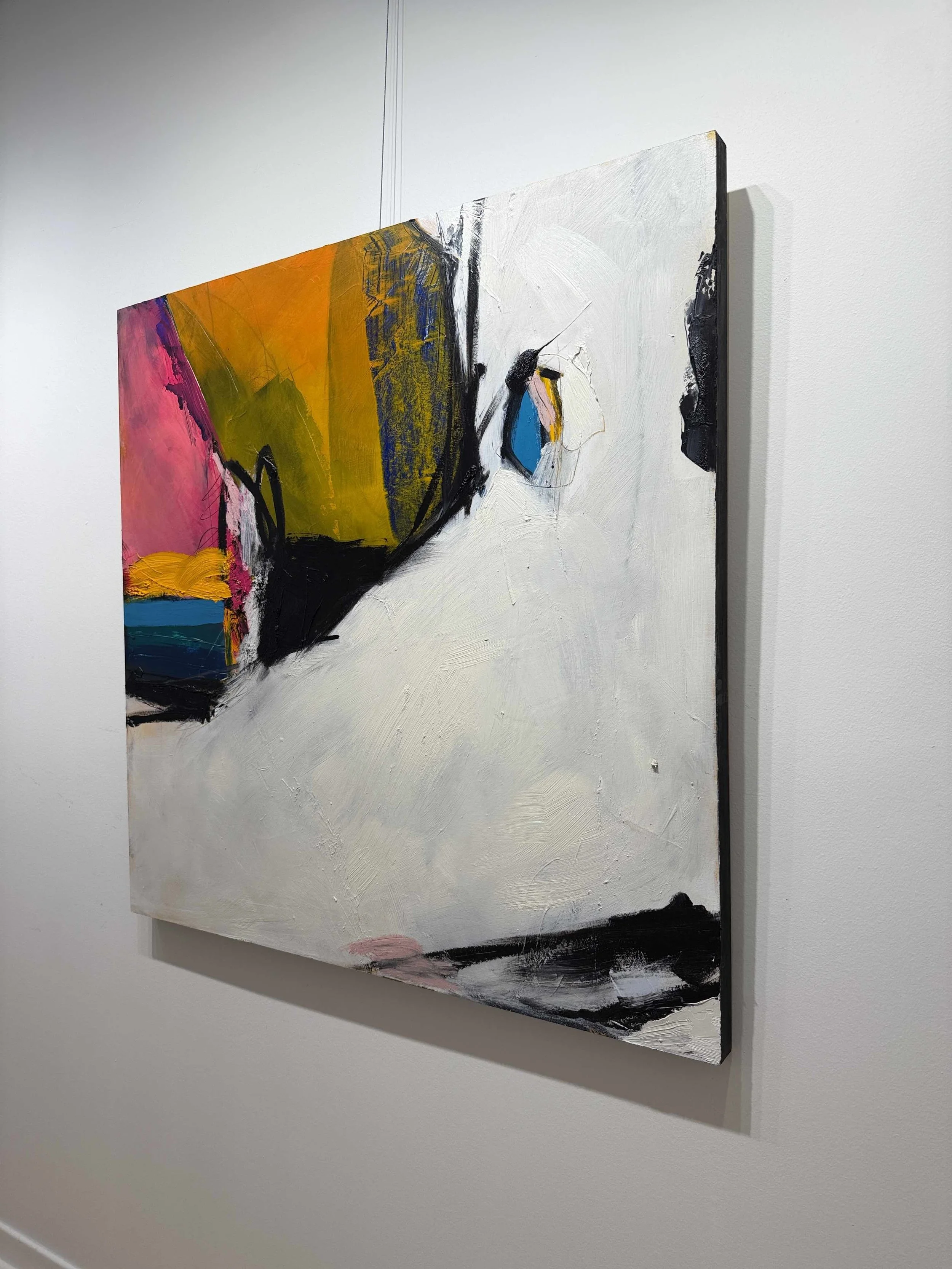 Photo 2026-02-12, 5 23 20 PM.jpg