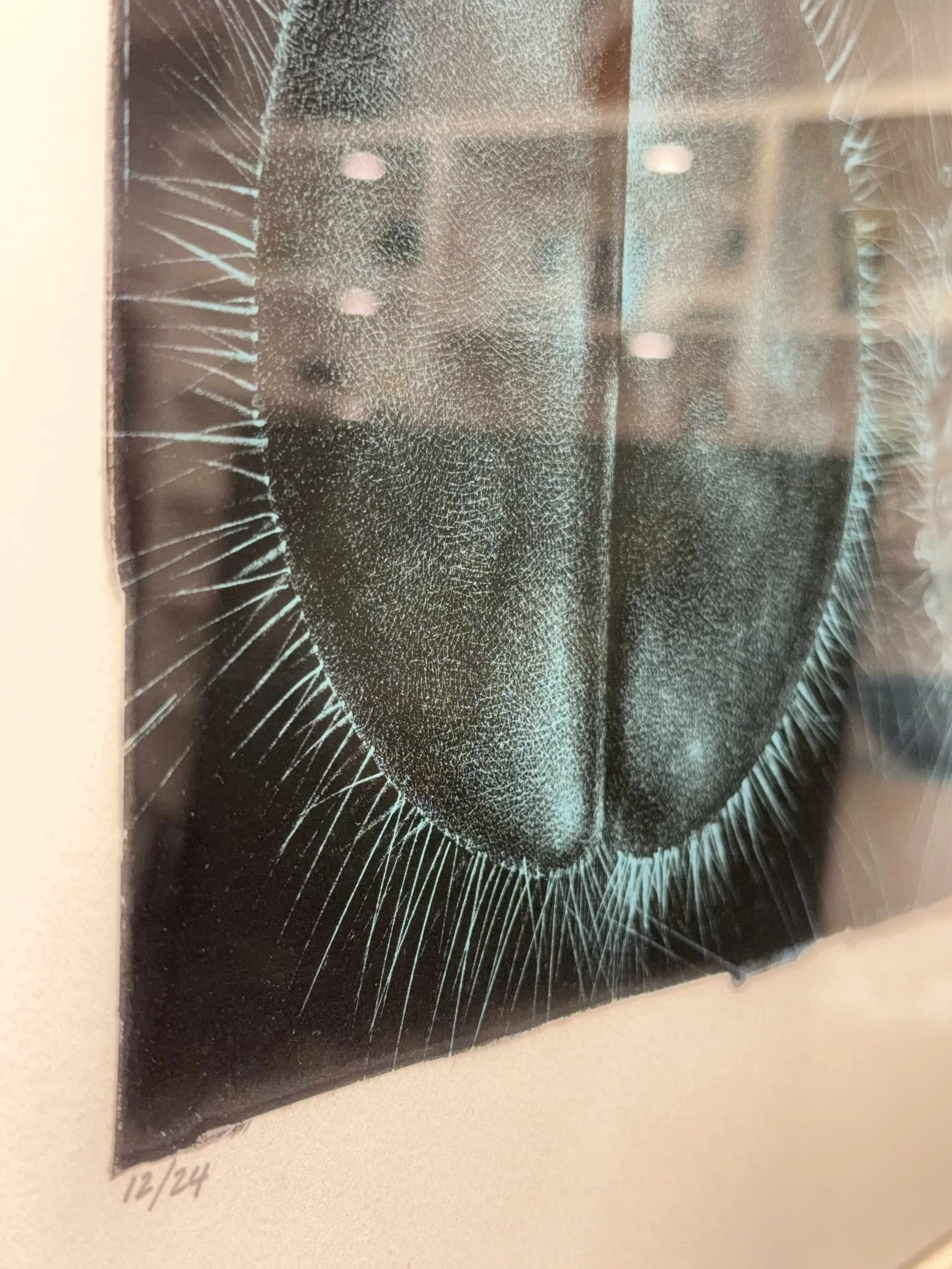 Photo 2026-04-01, 2 56 50 PM.jpg