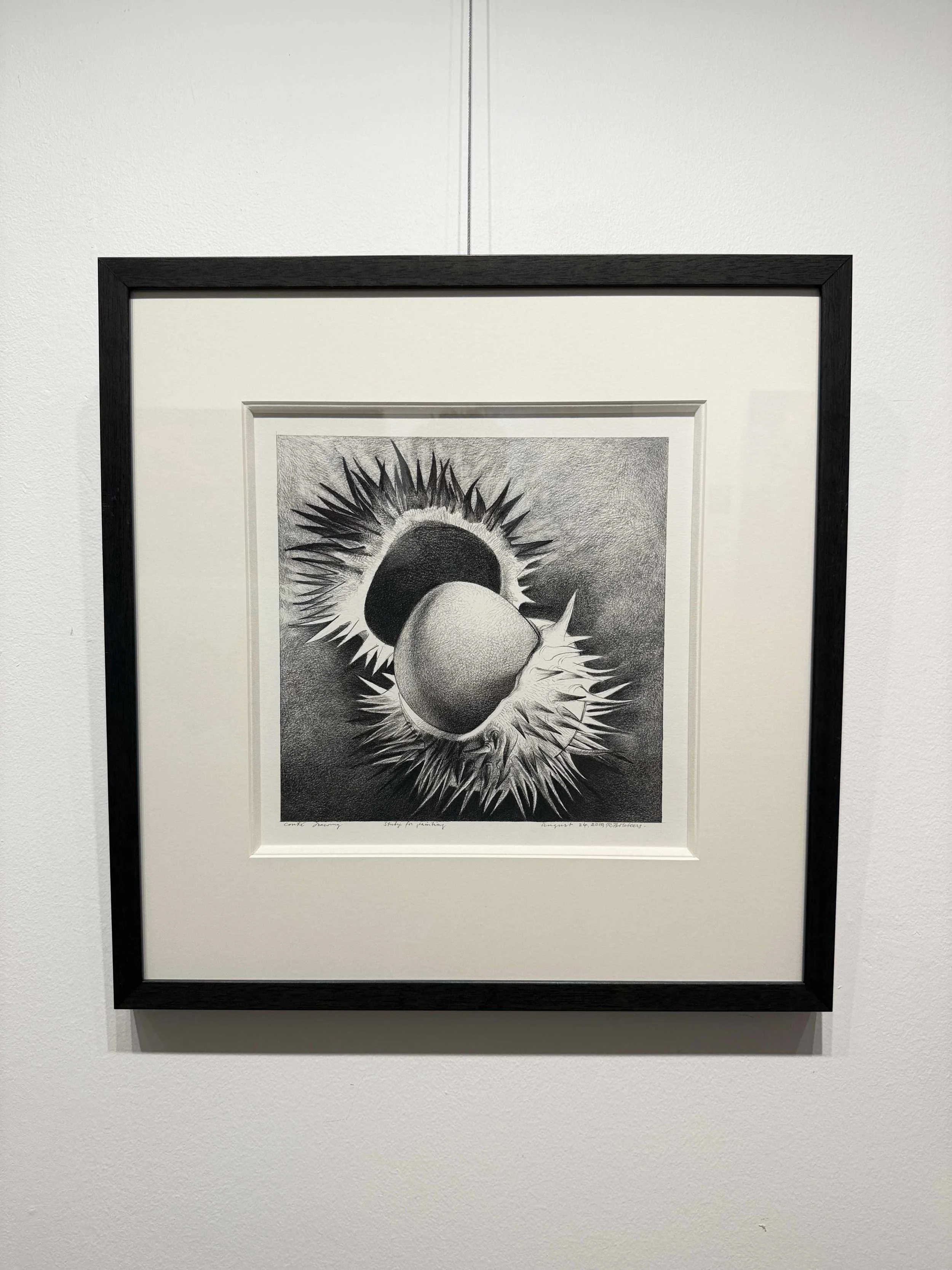 Photo 2026-02-10, 12 30 00 PM.jpg