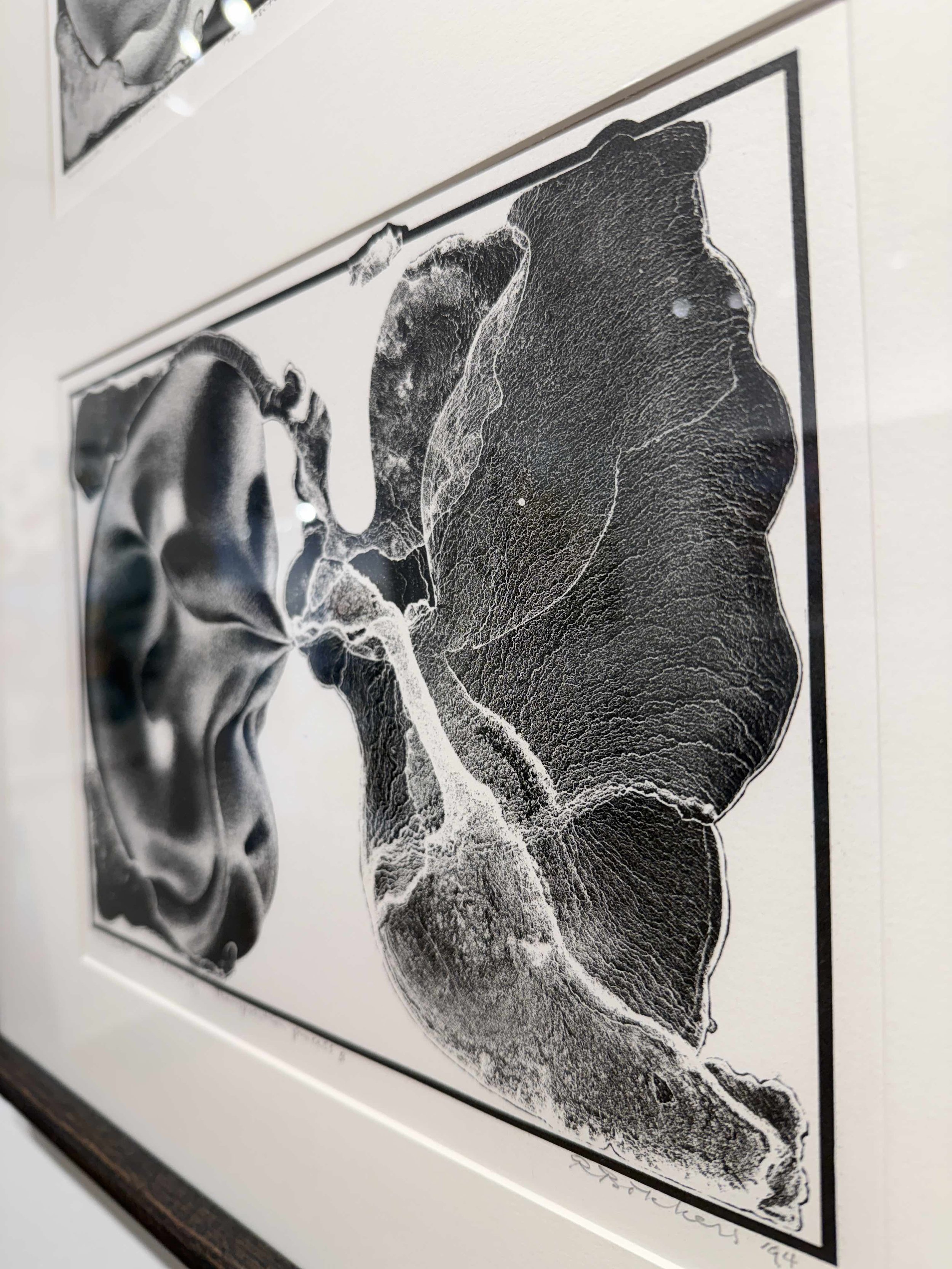 Photo 2026-02-13, 10 39 51 AM.jpg