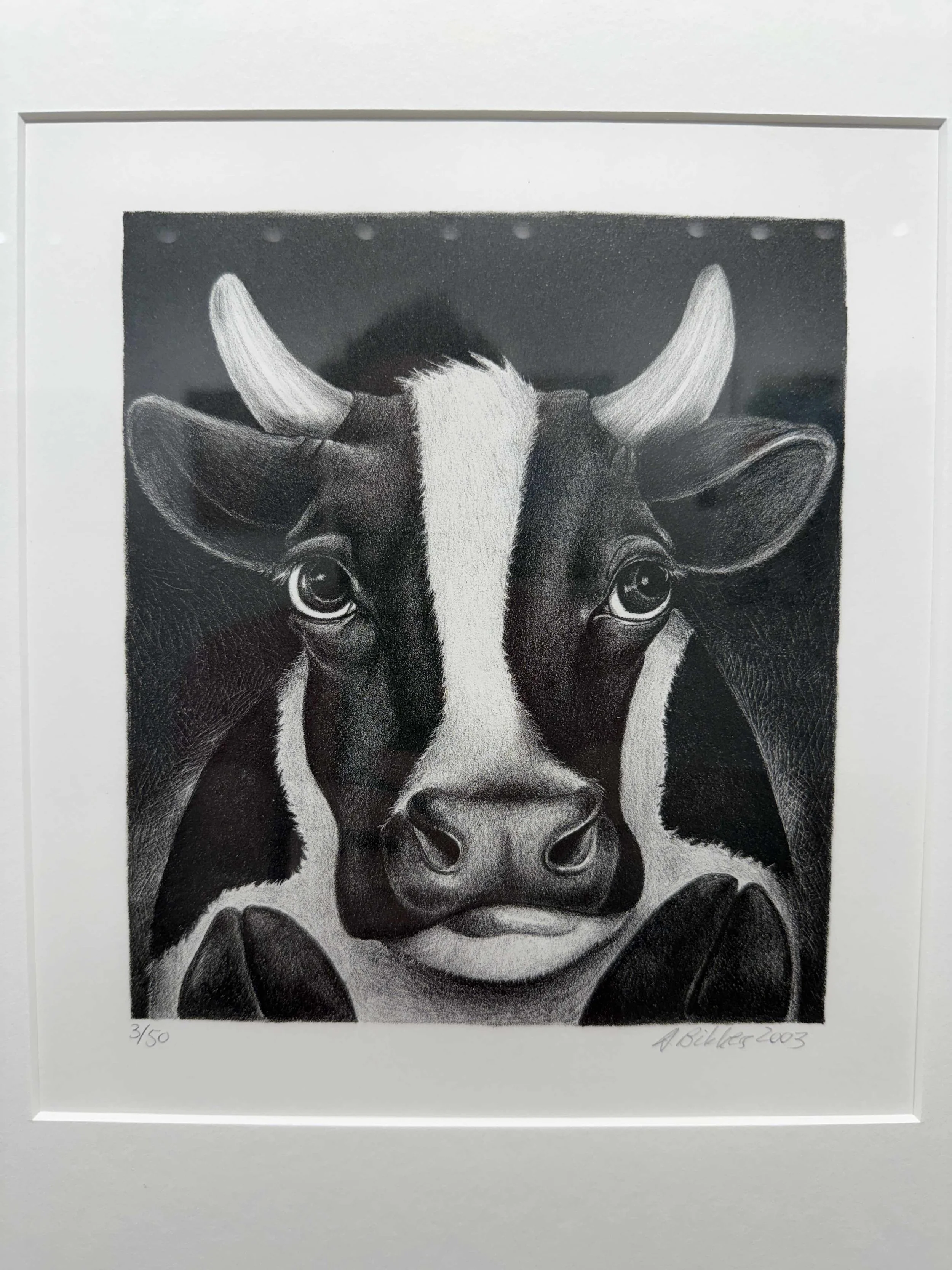 Photo 2026-02-19, 12 24 48 PM.jpg