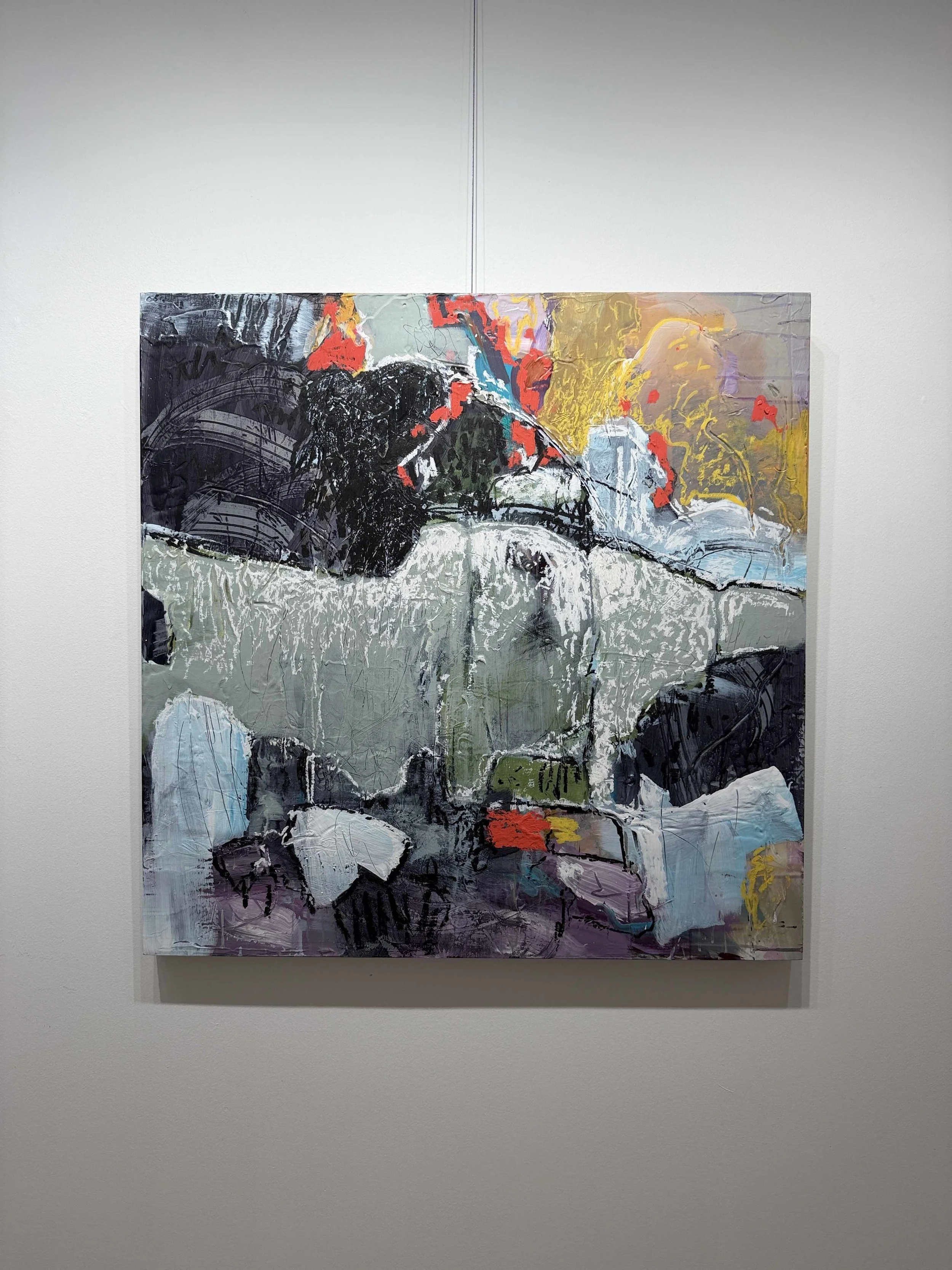 Photo 2026-02-17, 1 54 16 PM.jpg