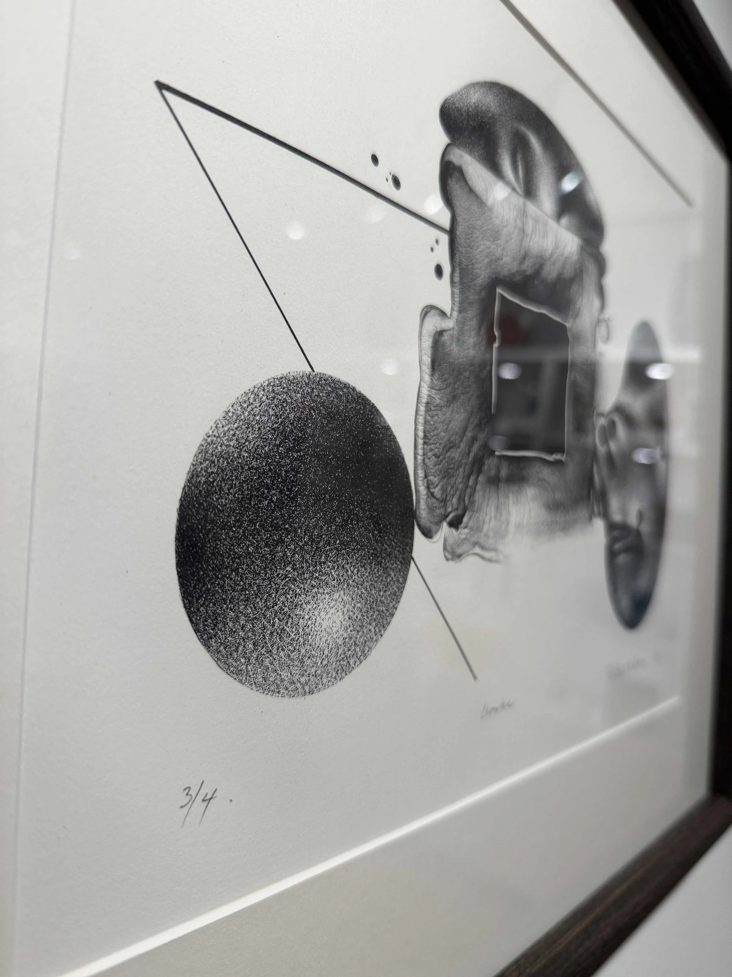 Photo 2026-02-19, 12 29 50 PM.jpg