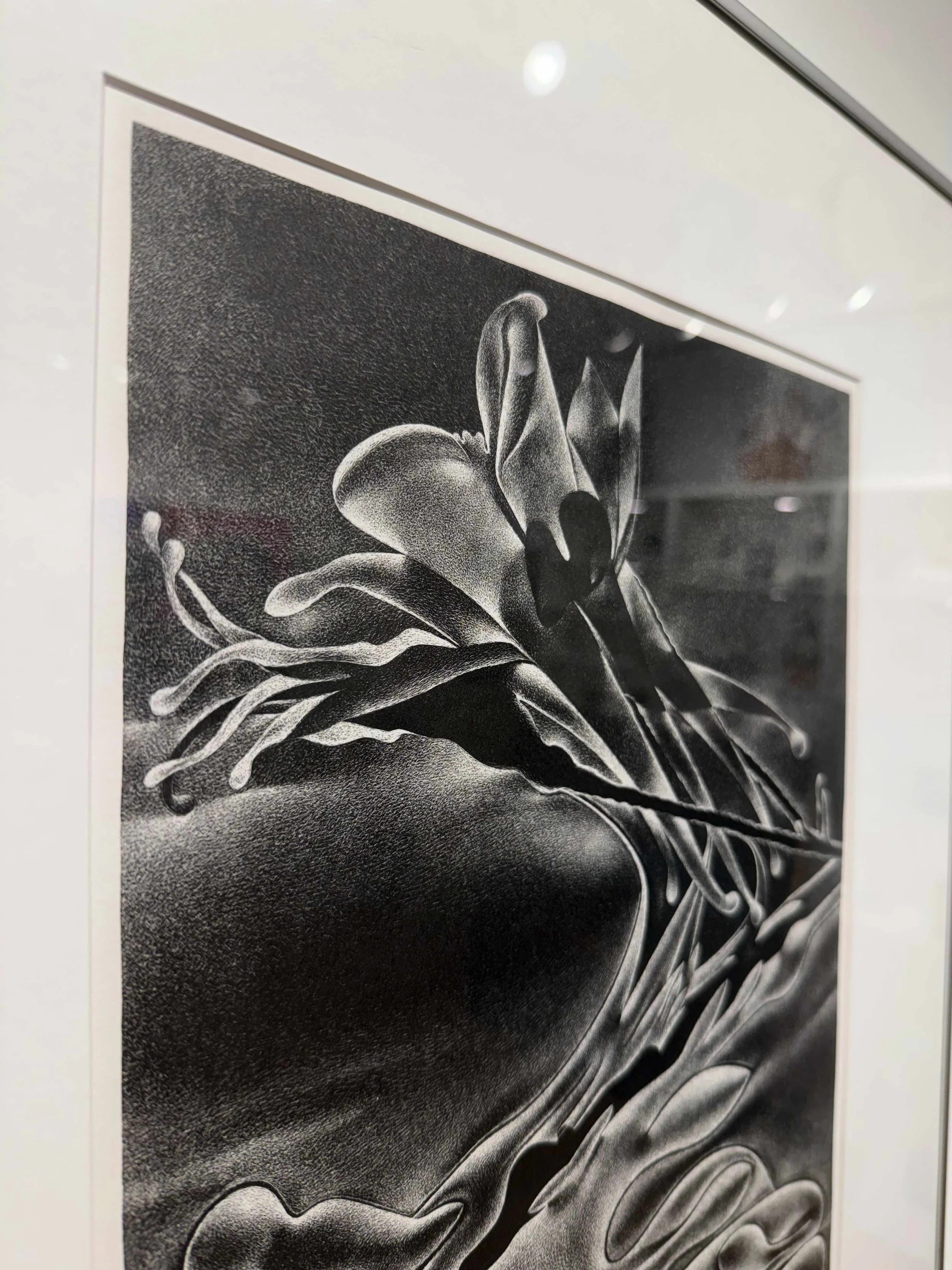 Photo 2026-02-10, 12 43 01 PM.jpg