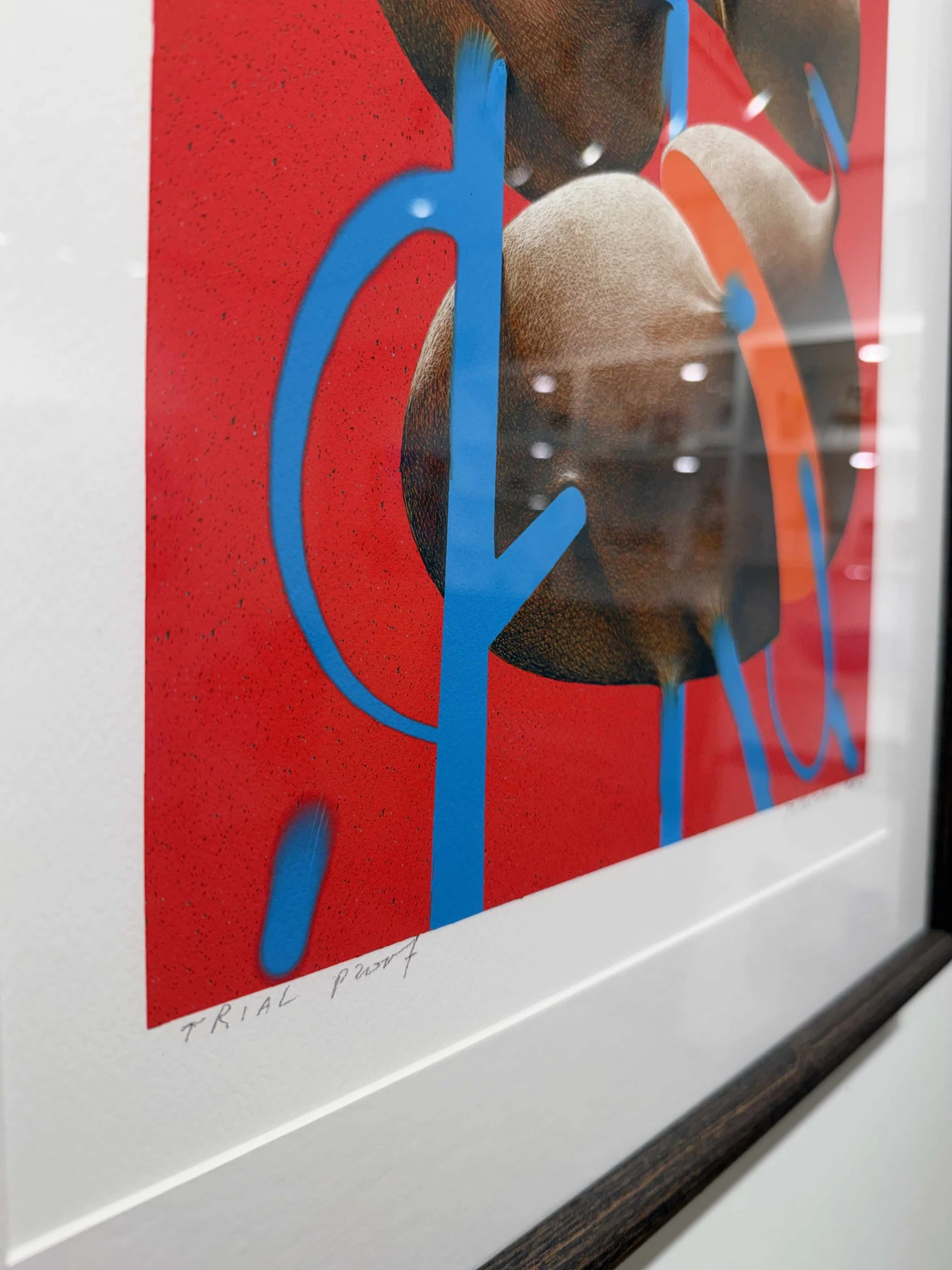 Photo 2026-02-18, 2 26 17 PM.jpg