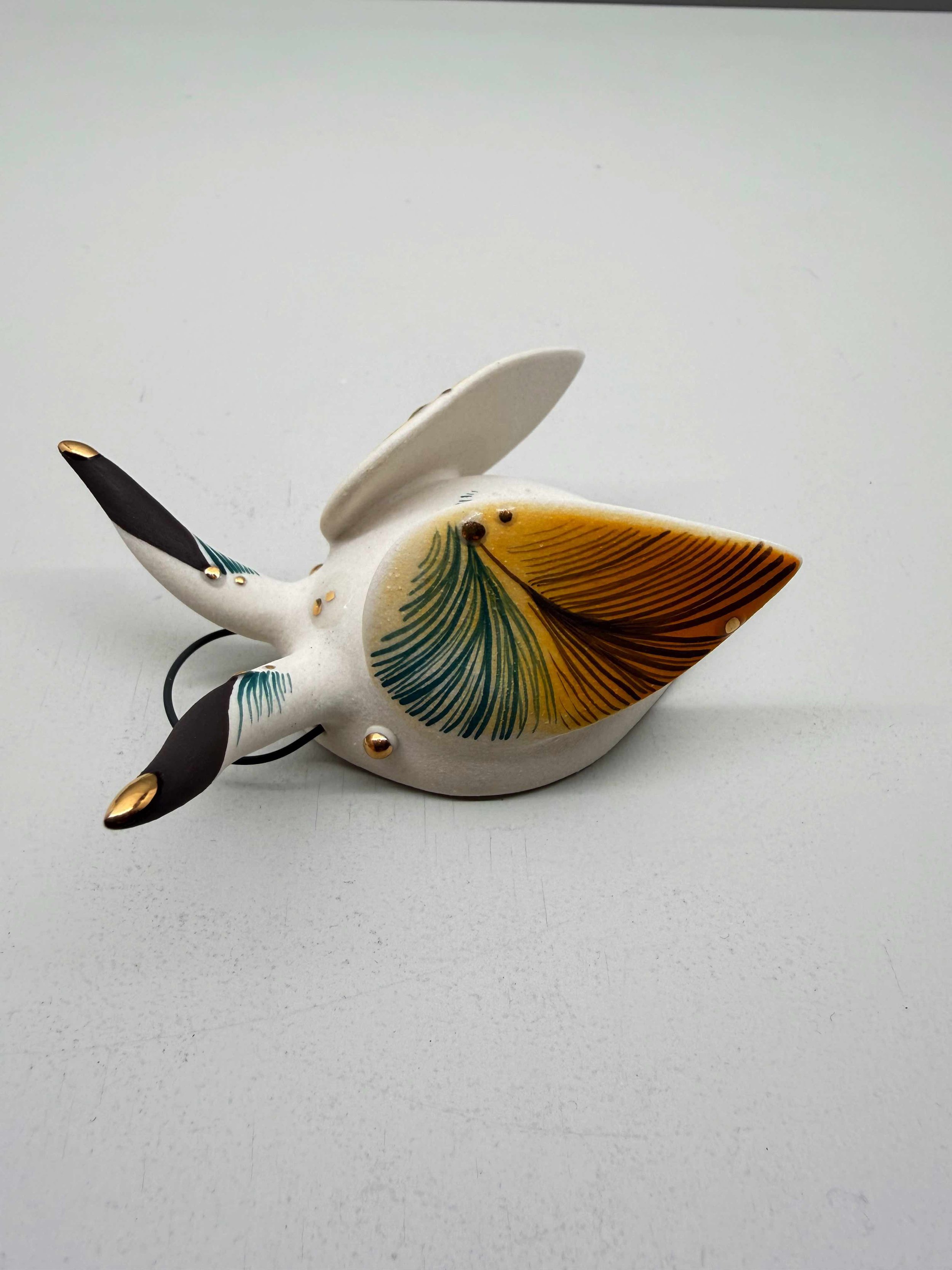 Photo 2026-02-12, 2 24 06 PM.jpg