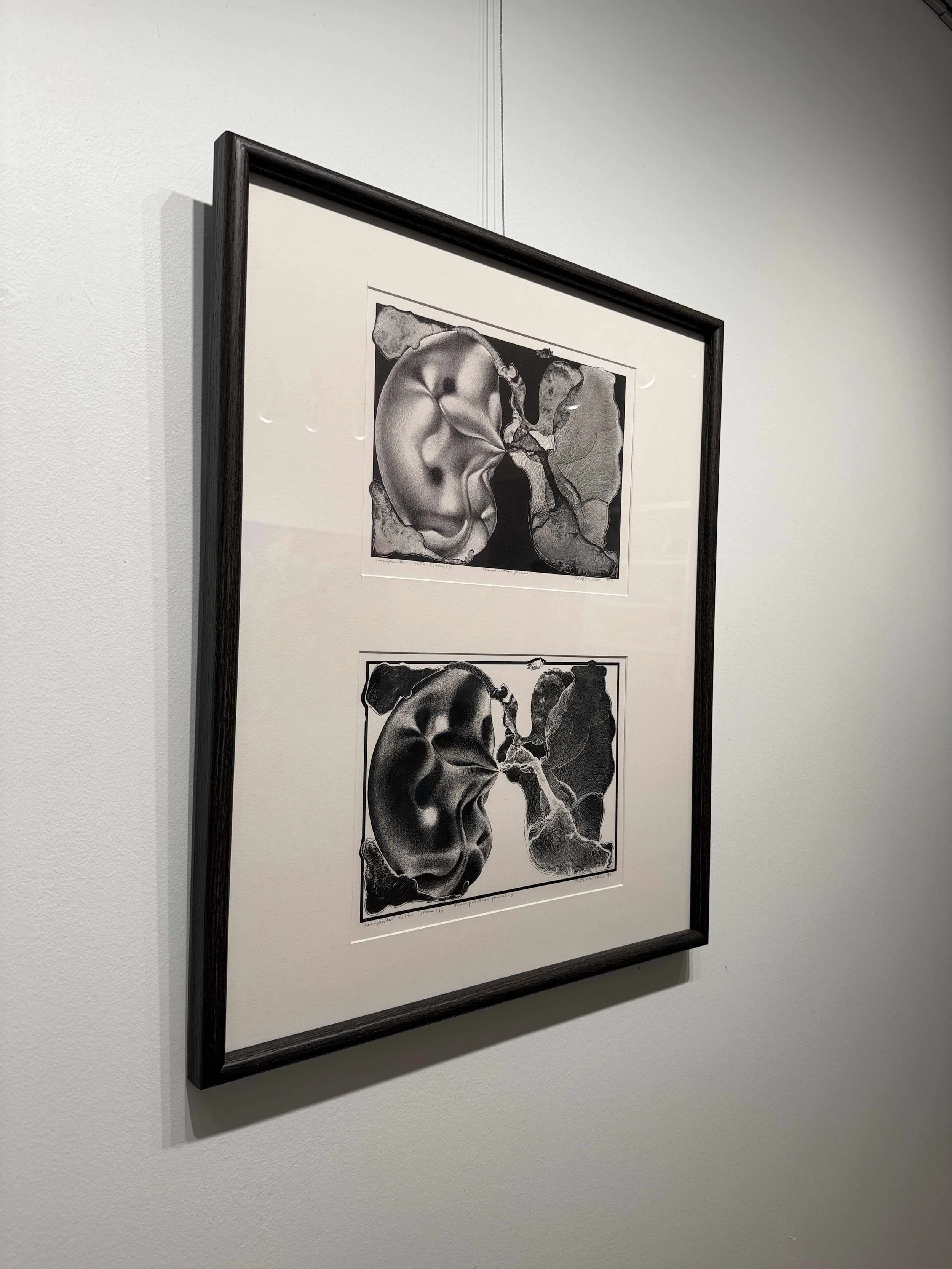 Photo 2026-02-13, 10 39 15 AM.jpg