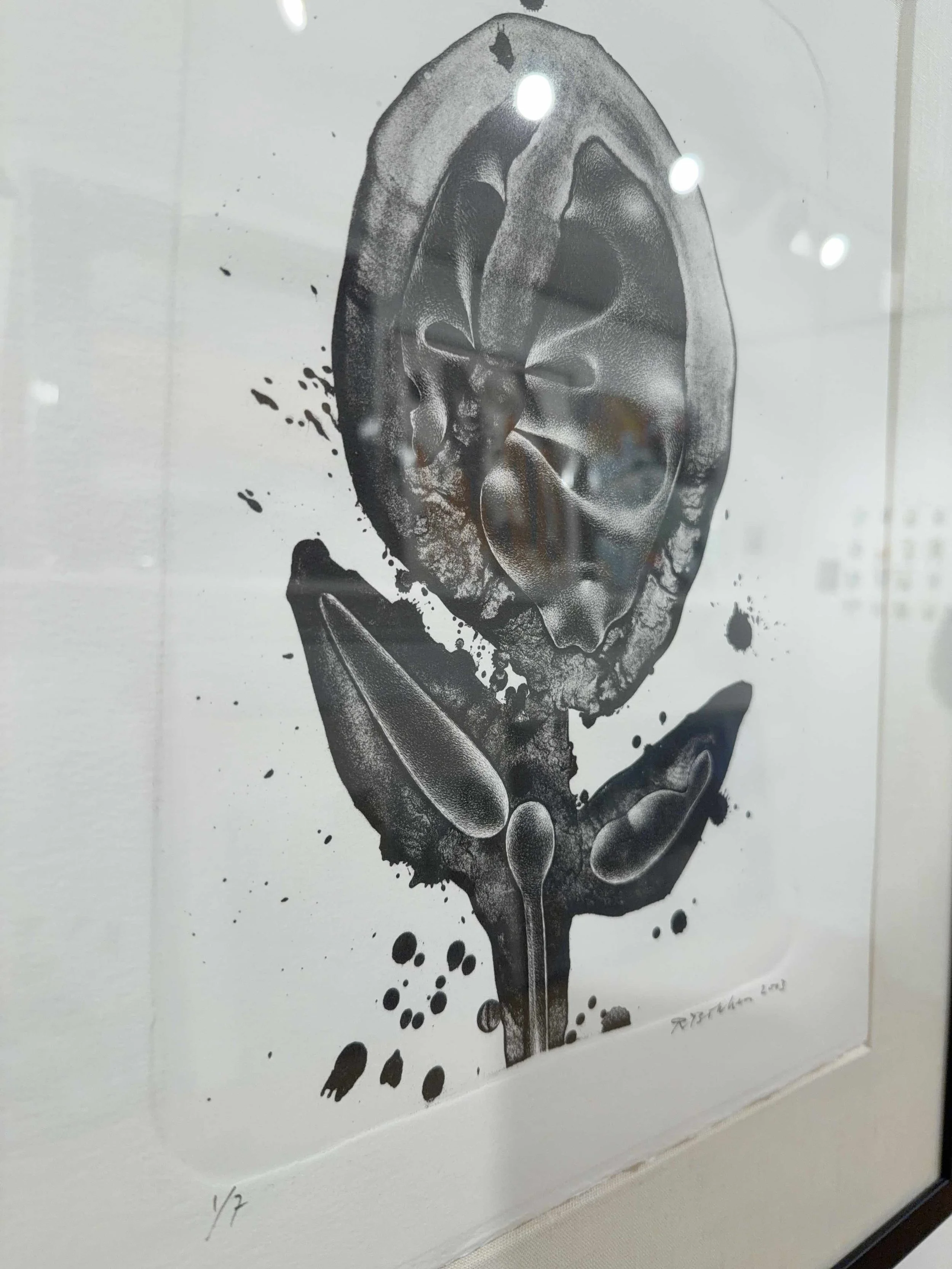 Photo 2026-04-10, 2 05 31 PM.jpg