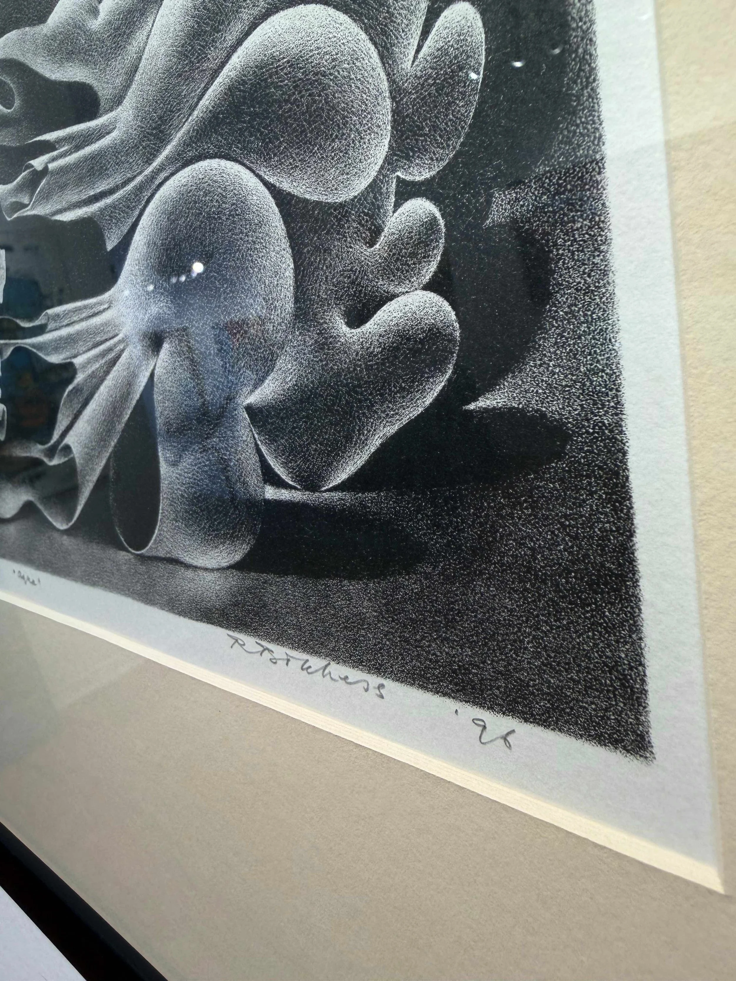 Photo 2026-02-10, 12 33 47 PM.jpg