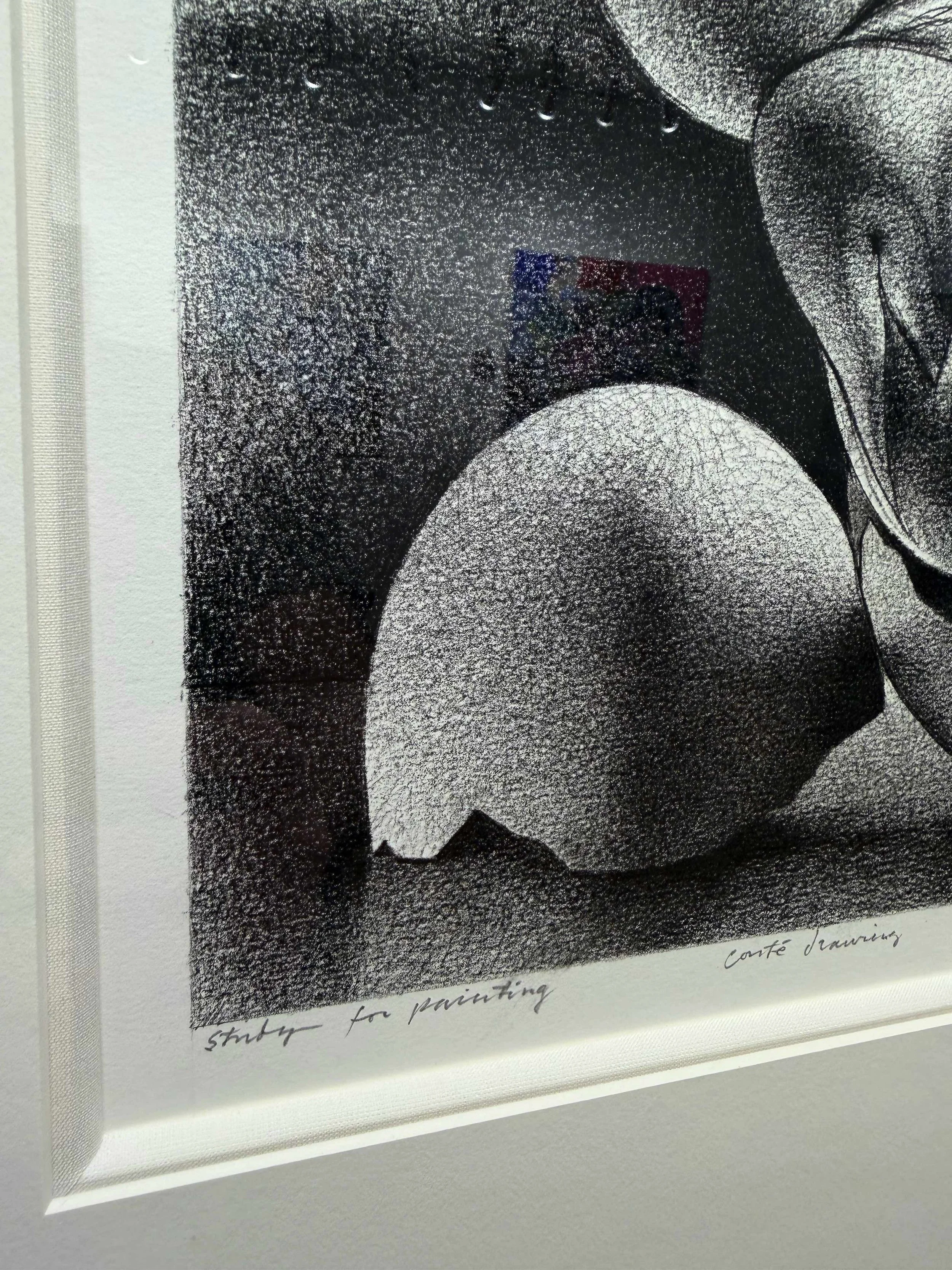 Photo 2026-02-10, 12 38 41 PM.jpg