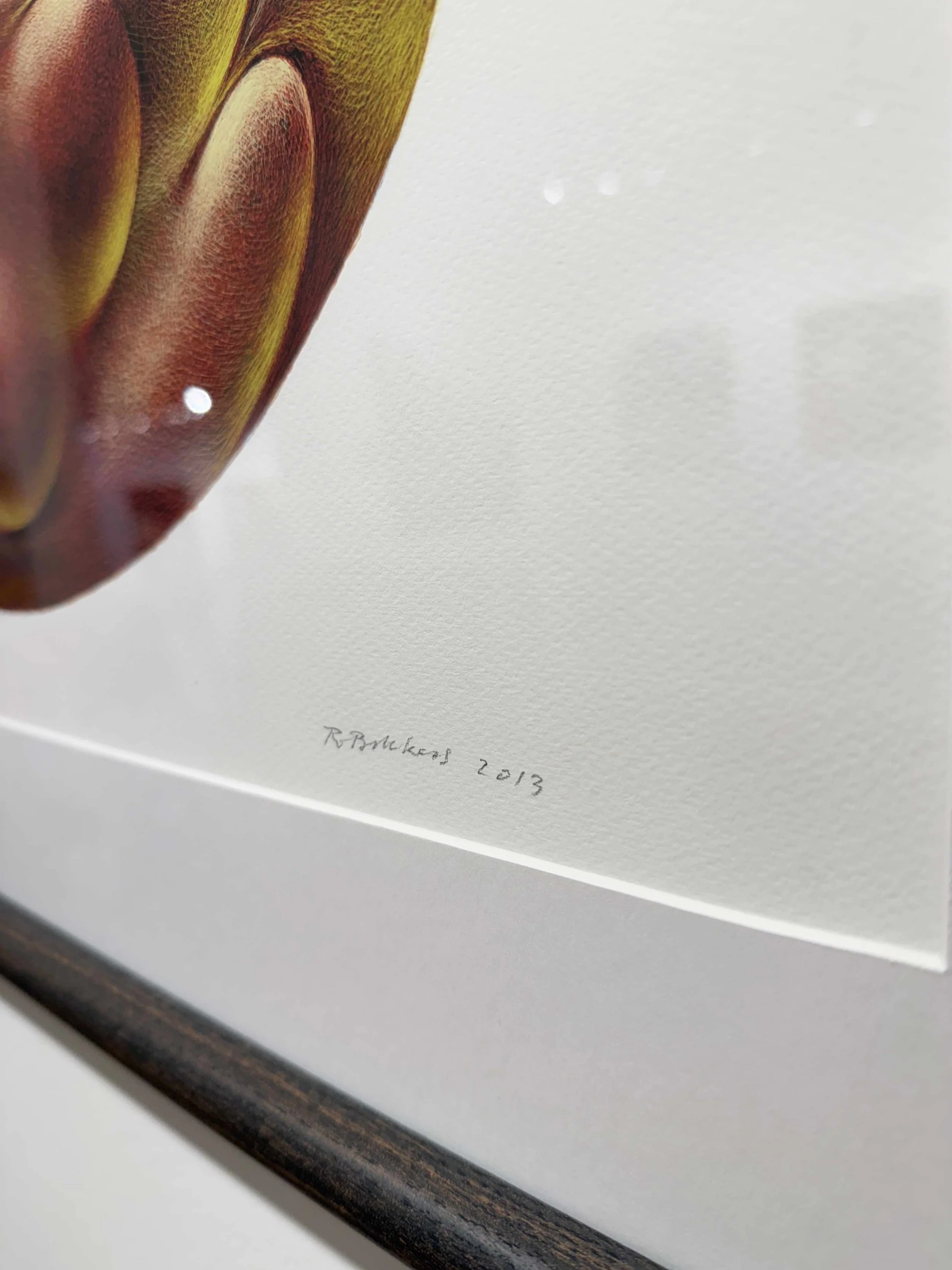 Photo 2026-02-18, 3 17 26 PM.jpg