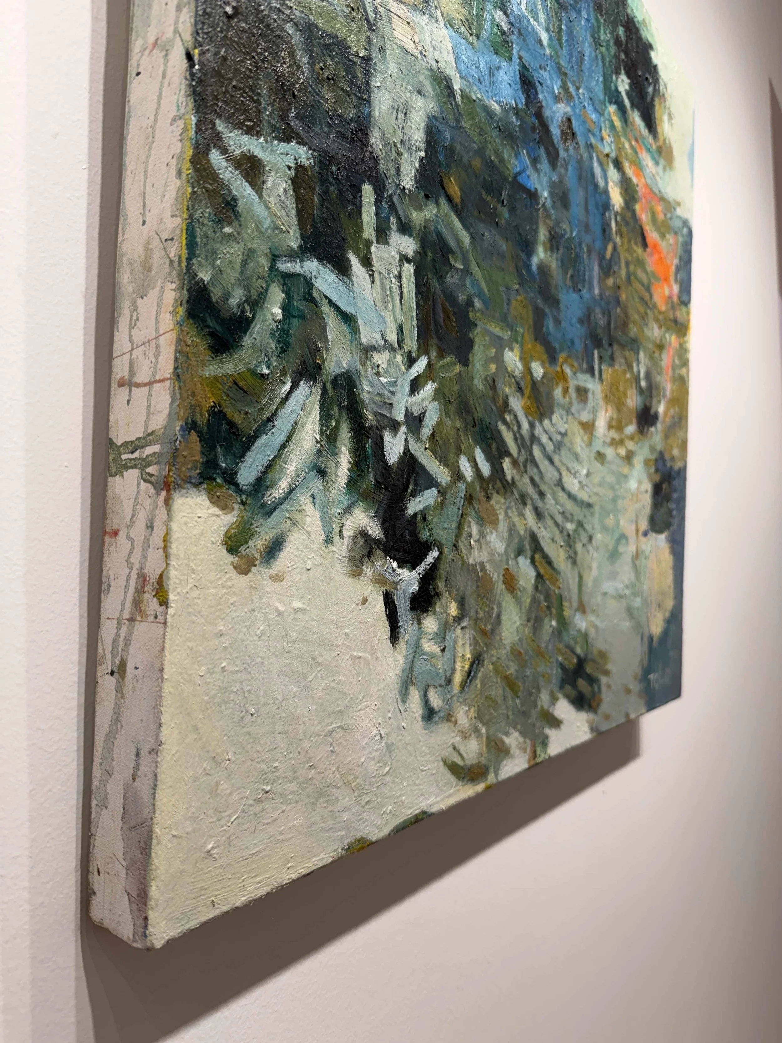 Photo 2026-02-12, 2 03 44 PM.jpg