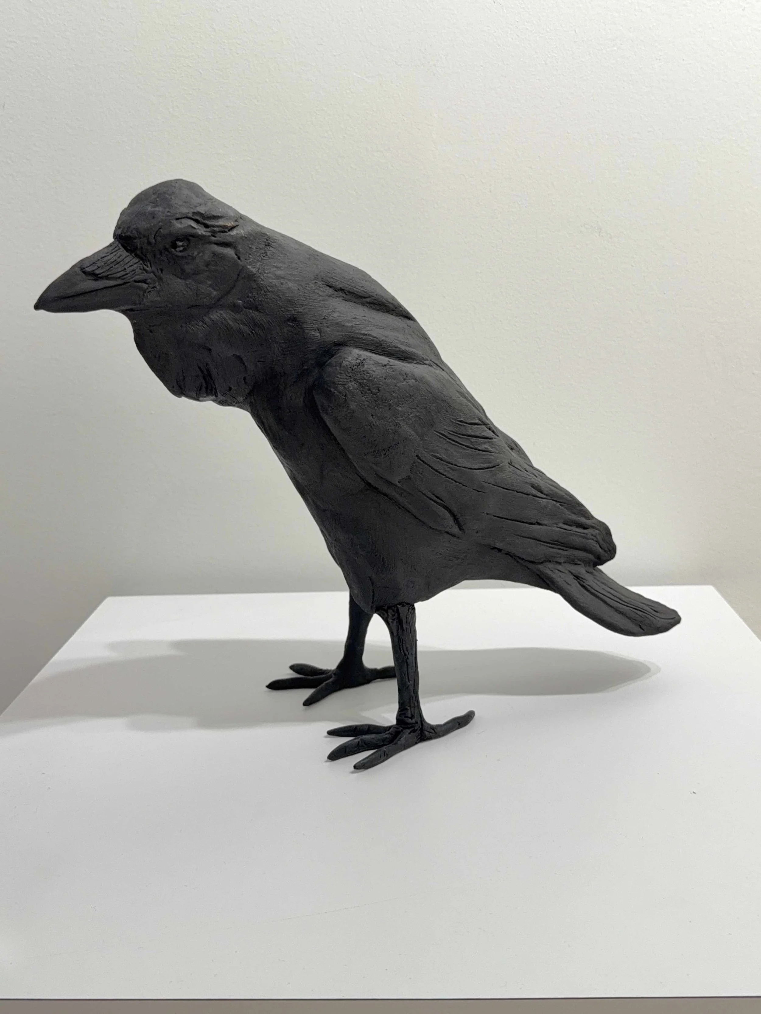 Photo 2026-10-13, 10 28 25 AM.jpg