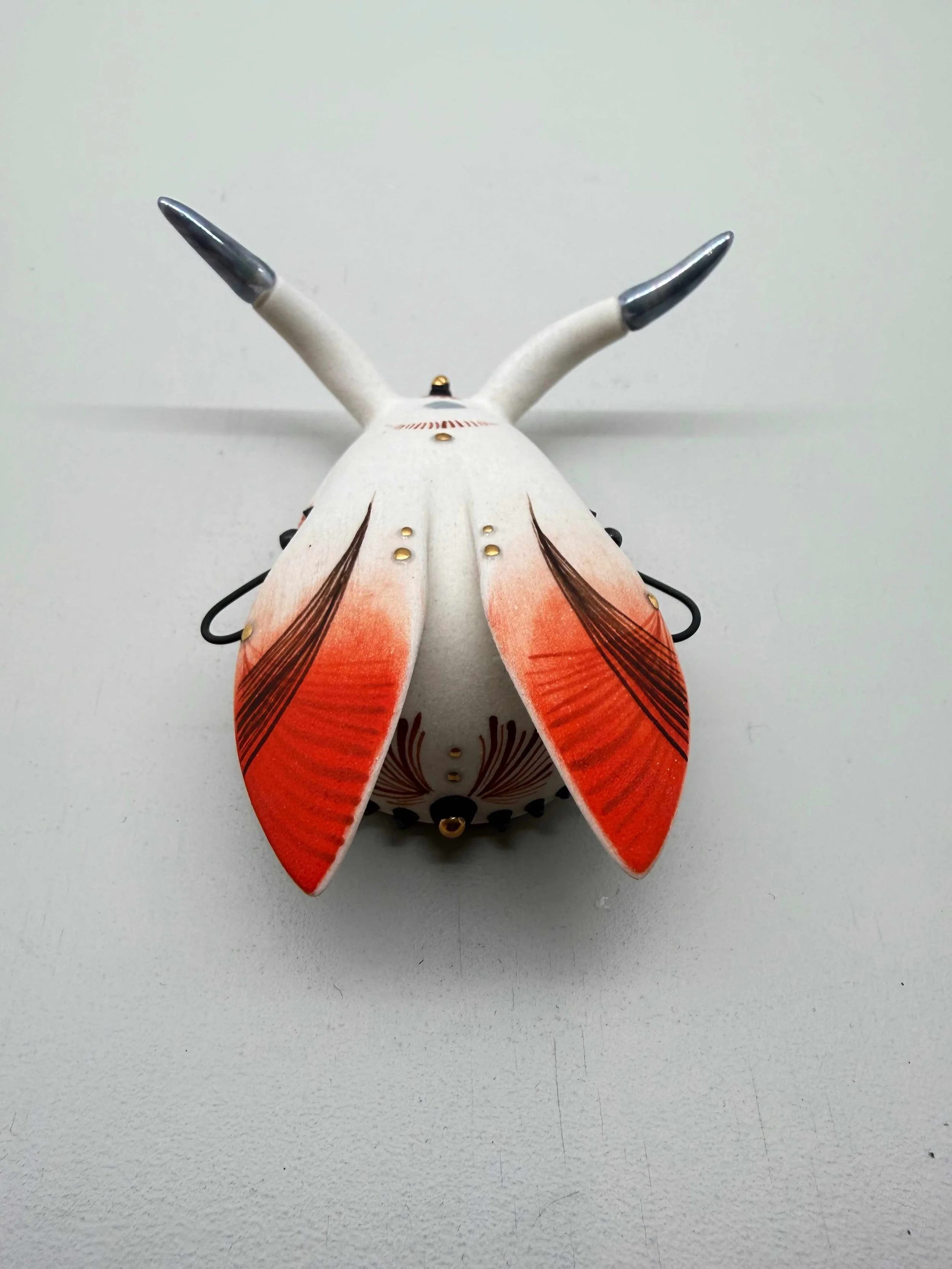 Photo 2026-02-12, 2 29 15 PM.jpg