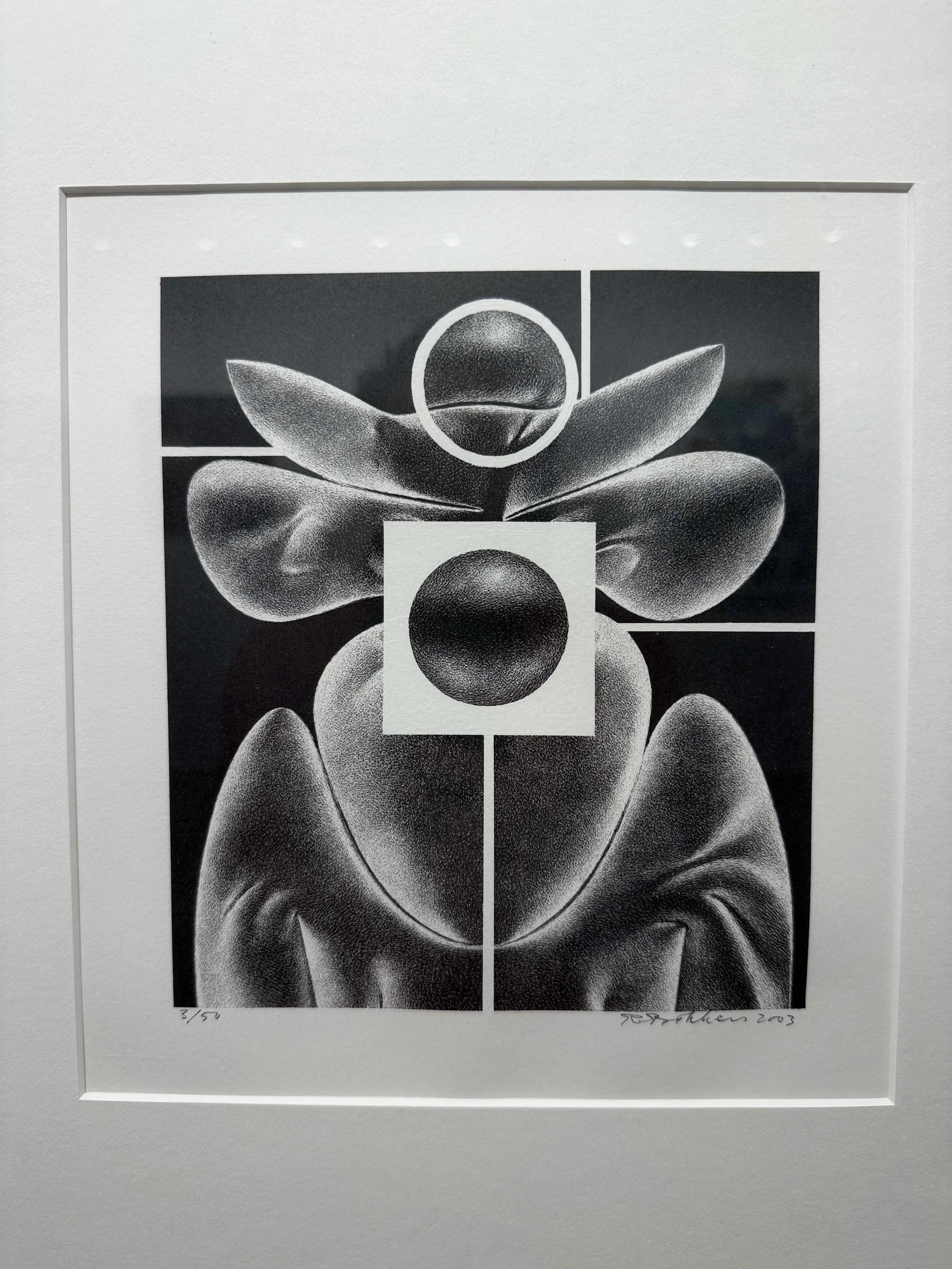 Photo 2026-02-19, 12 24 53 PM.jpg