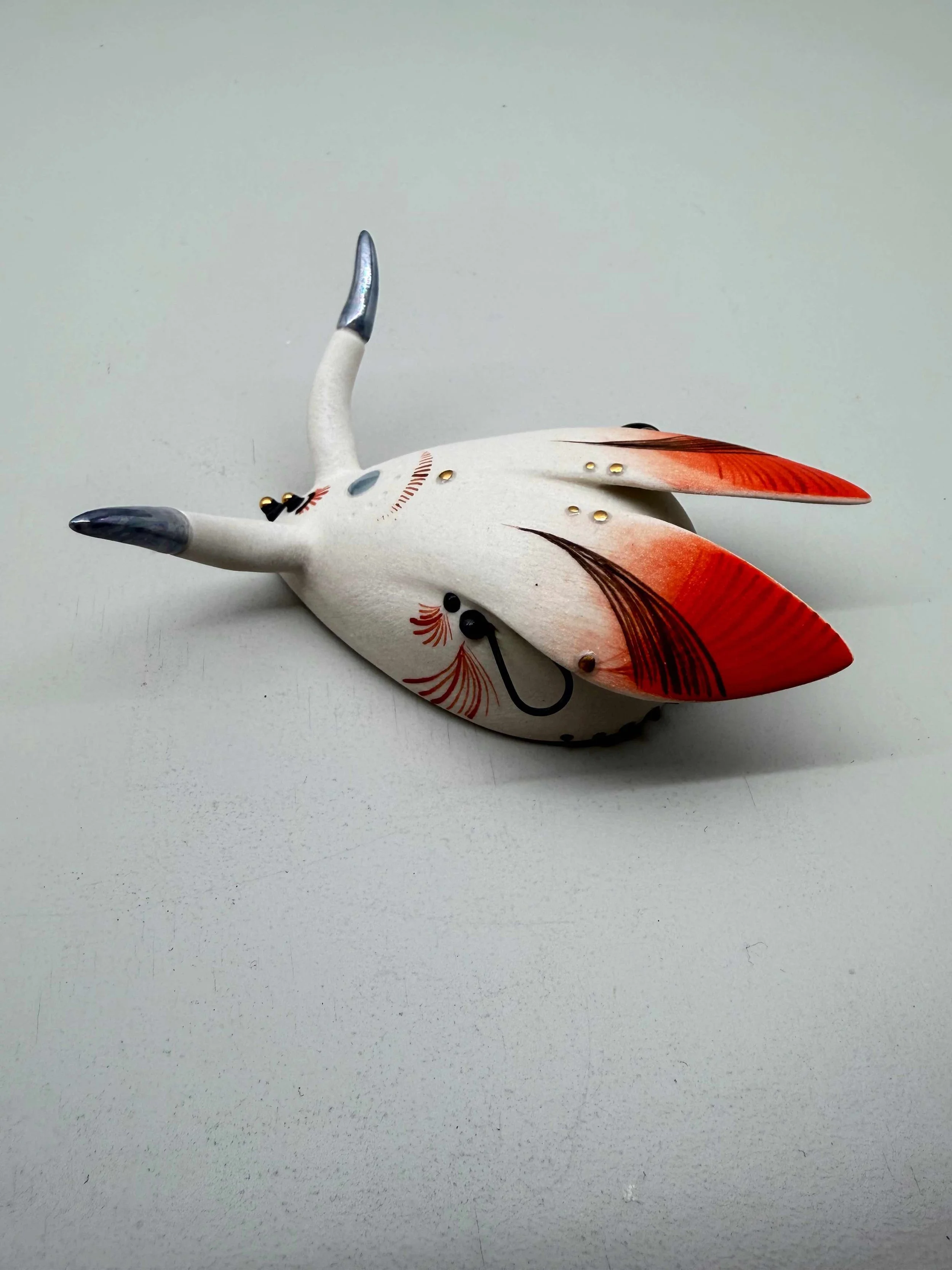 Photo 2026-02-12, 2 29 24 PM.jpg