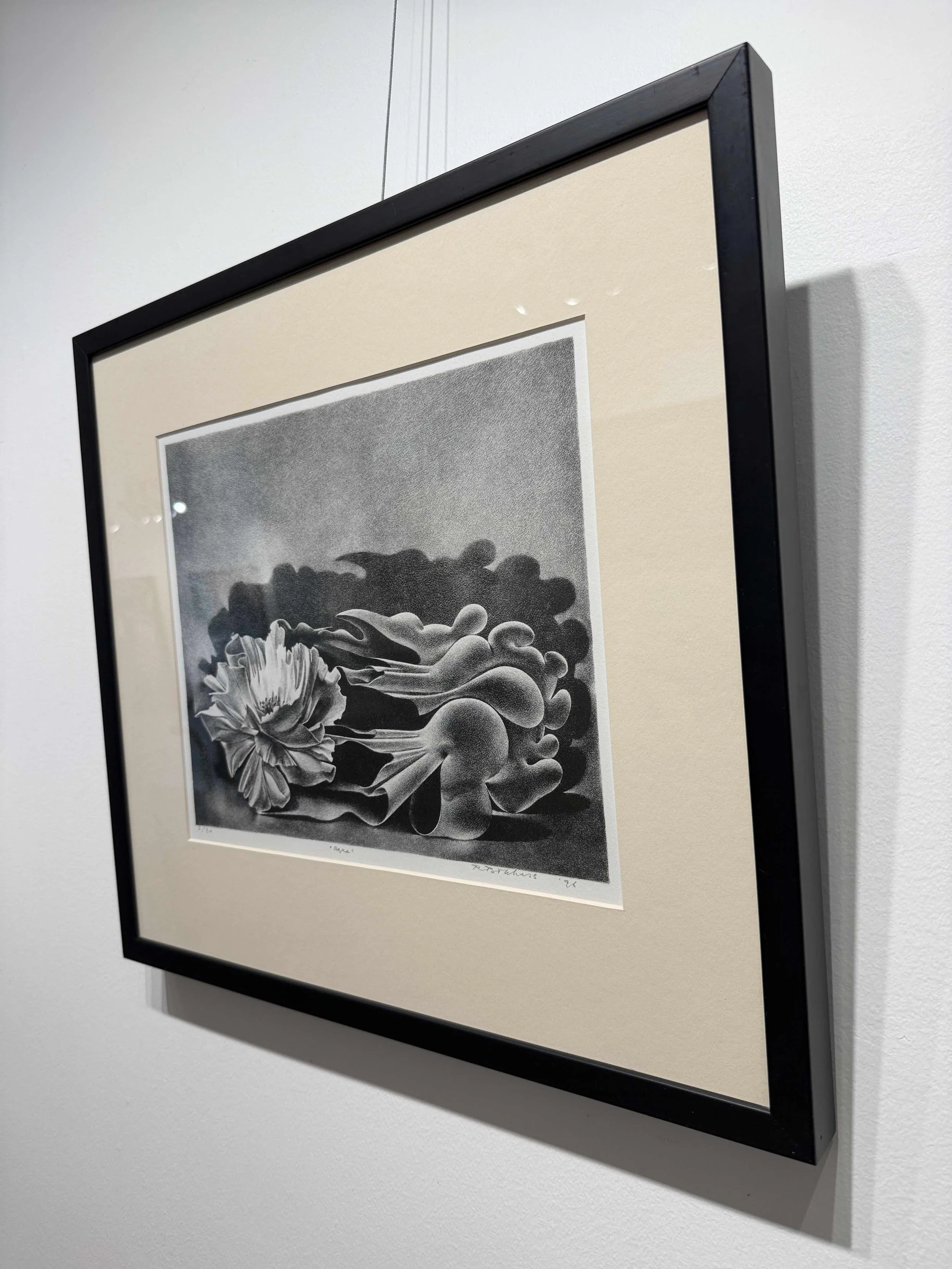 Photo 2026-02-10, 12 33 37 PM.jpg