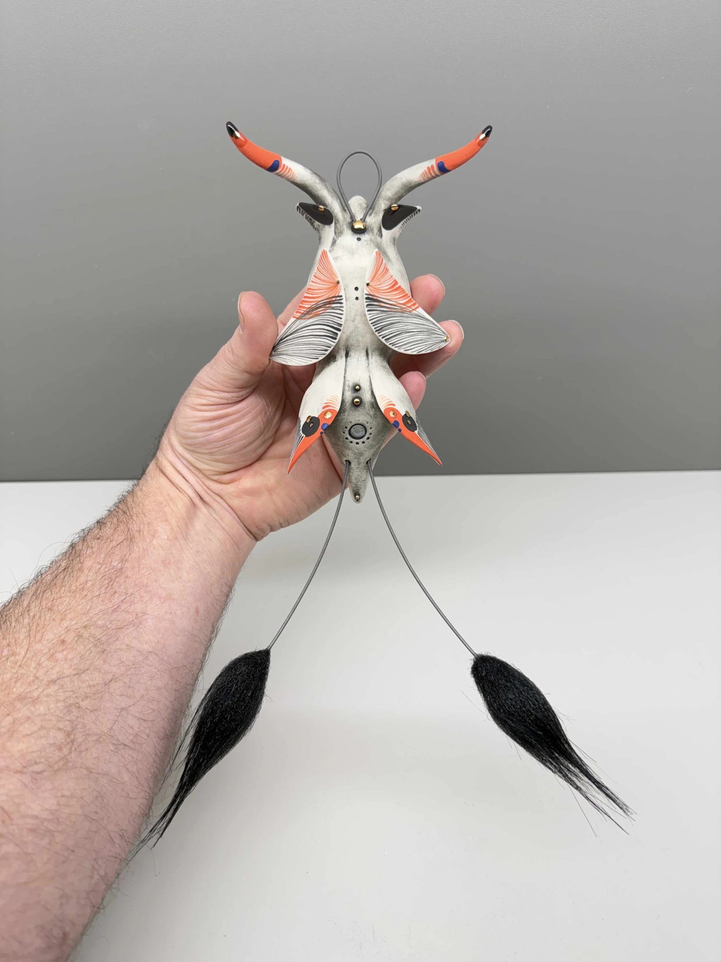 Photo 2026-02-12, 2 13 50 PM.jpg