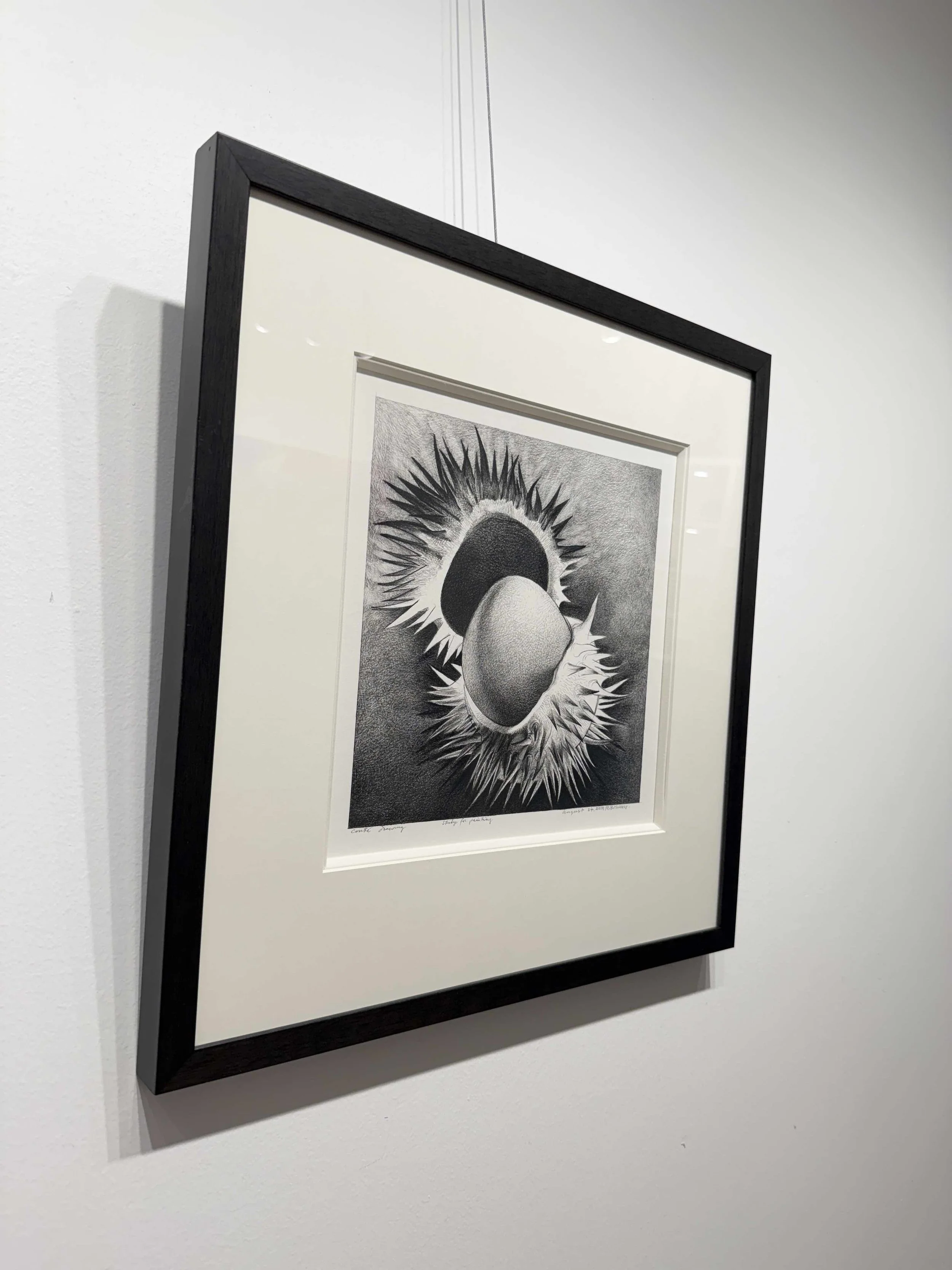 Photo 2026-02-10, 12 30 14 PM.jpg