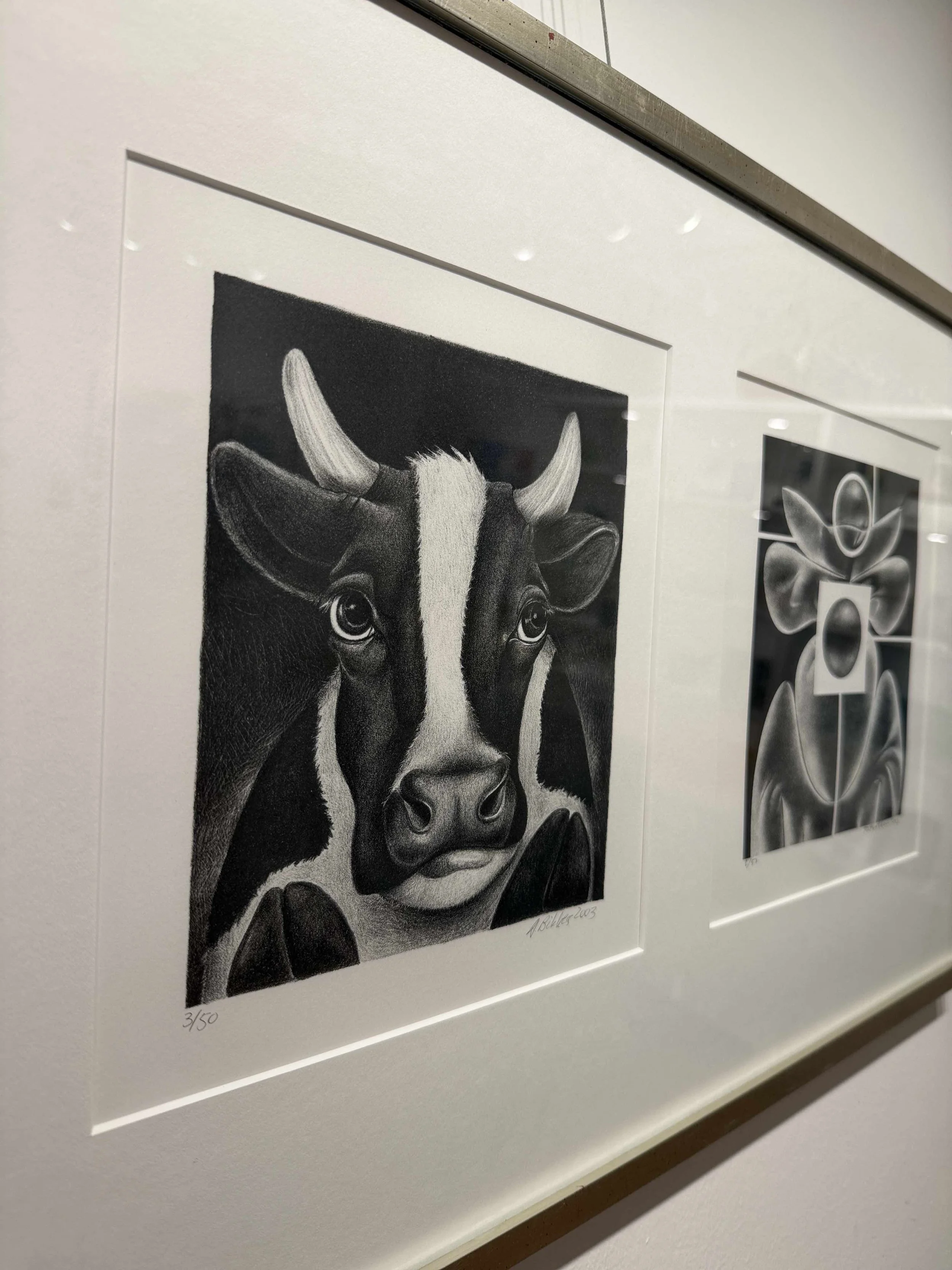 Photo 2026-02-19, 12 23 09 PM.jpg