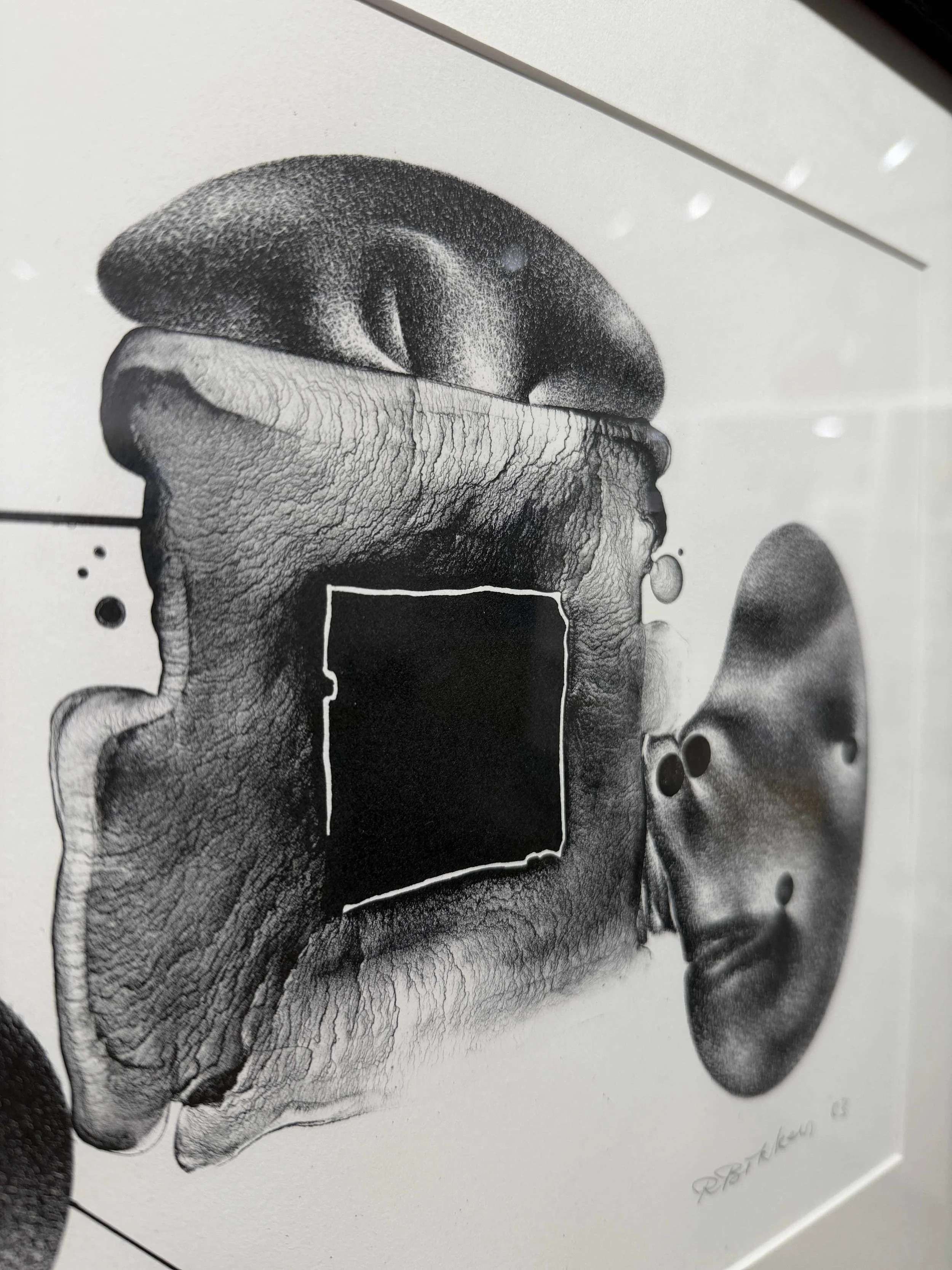 Photo 2026-02-19, 12 30 06 PM.jpg