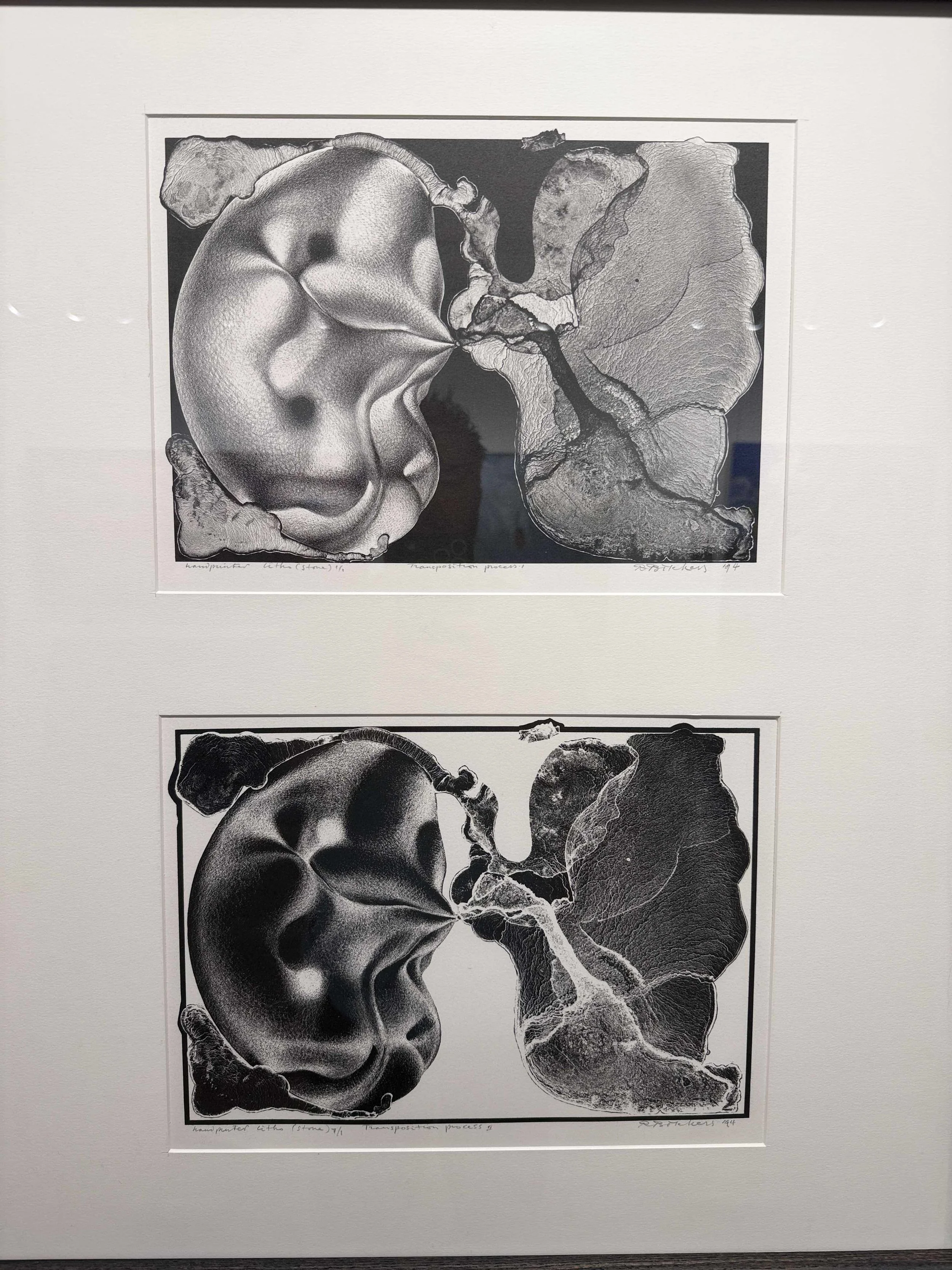 Photo 2026-02-13, 10 39 04 AM.jpg