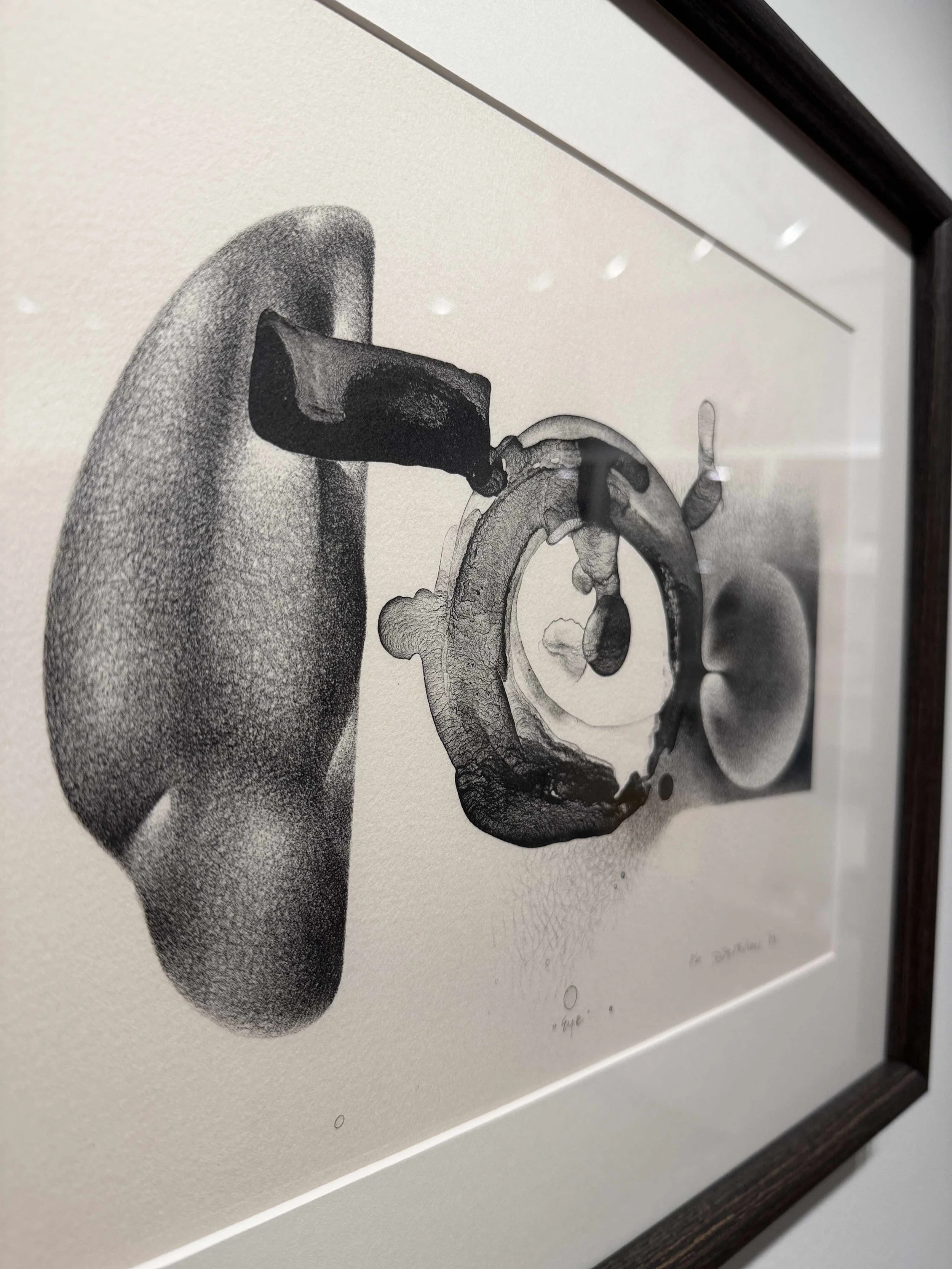 Photo 2026-02-19, 12 28 29 PM.jpg