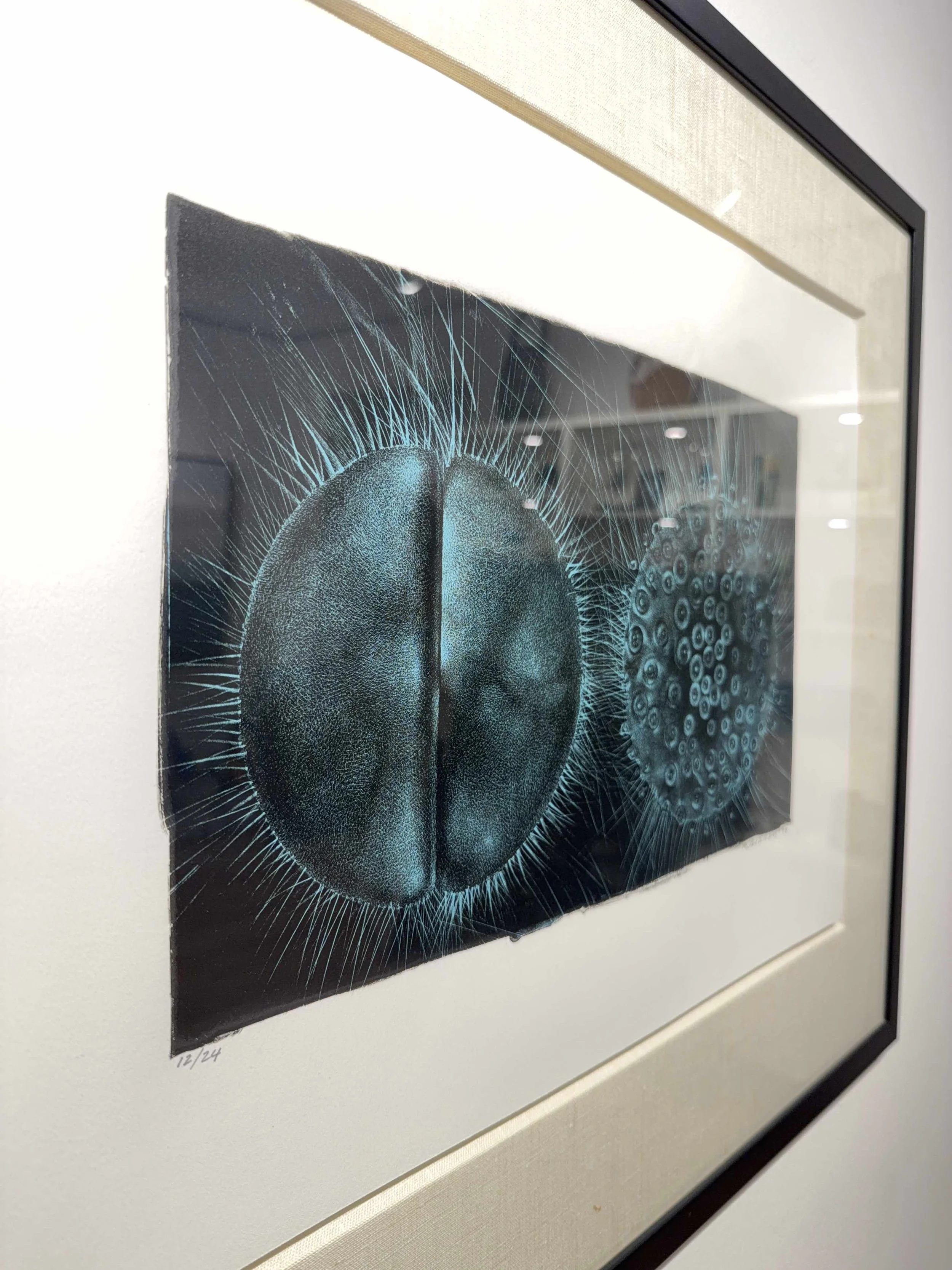 Photo 2026-04-01, 2 55 15 PM.jpg