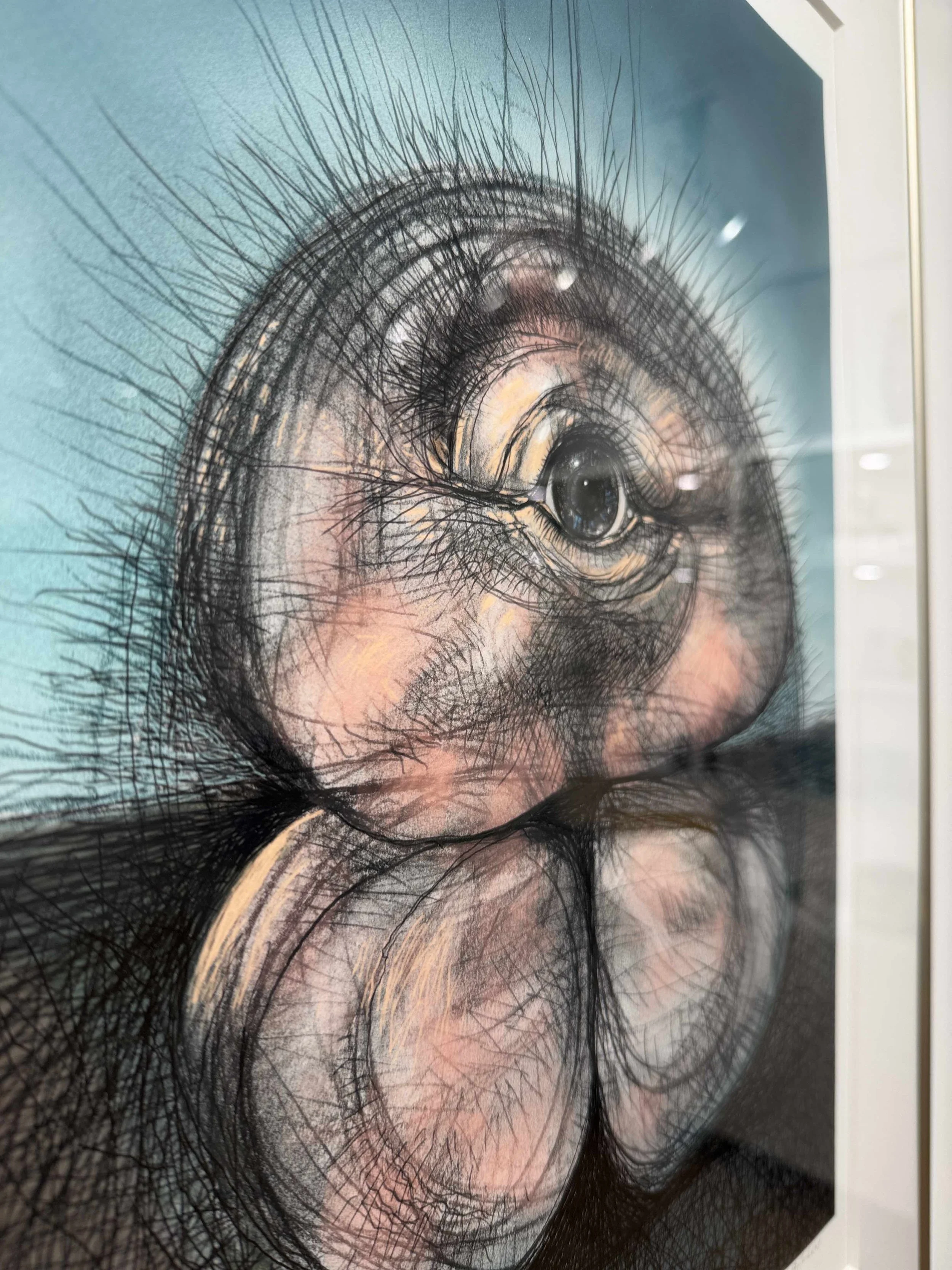 Photo 2026-02-19, 12 19 53 PM.jpg