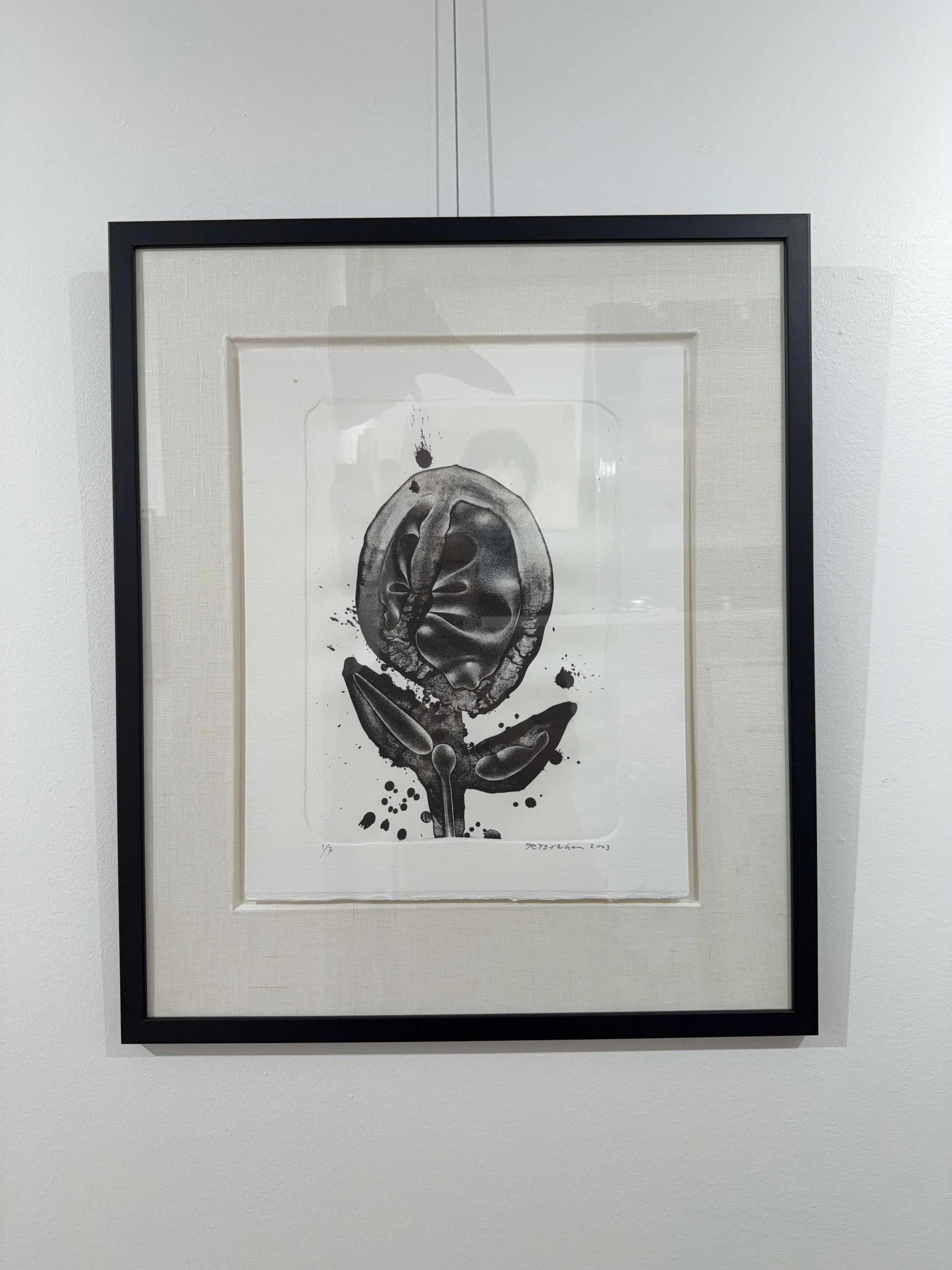 Photo 2026-04-10, 2 05 03 PM.jpg