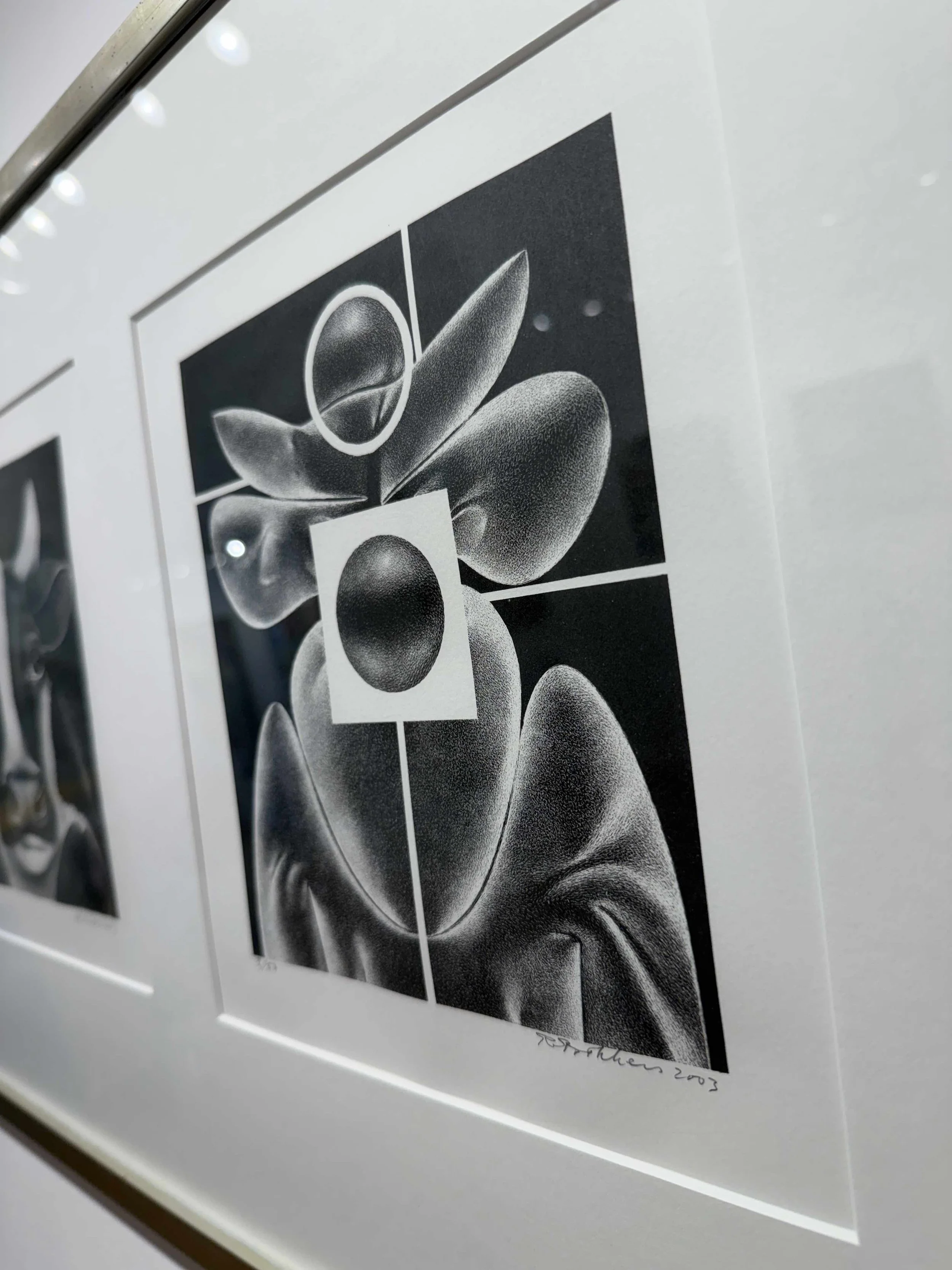 Photo 2026-02-19, 12 24 38 PM.jpg