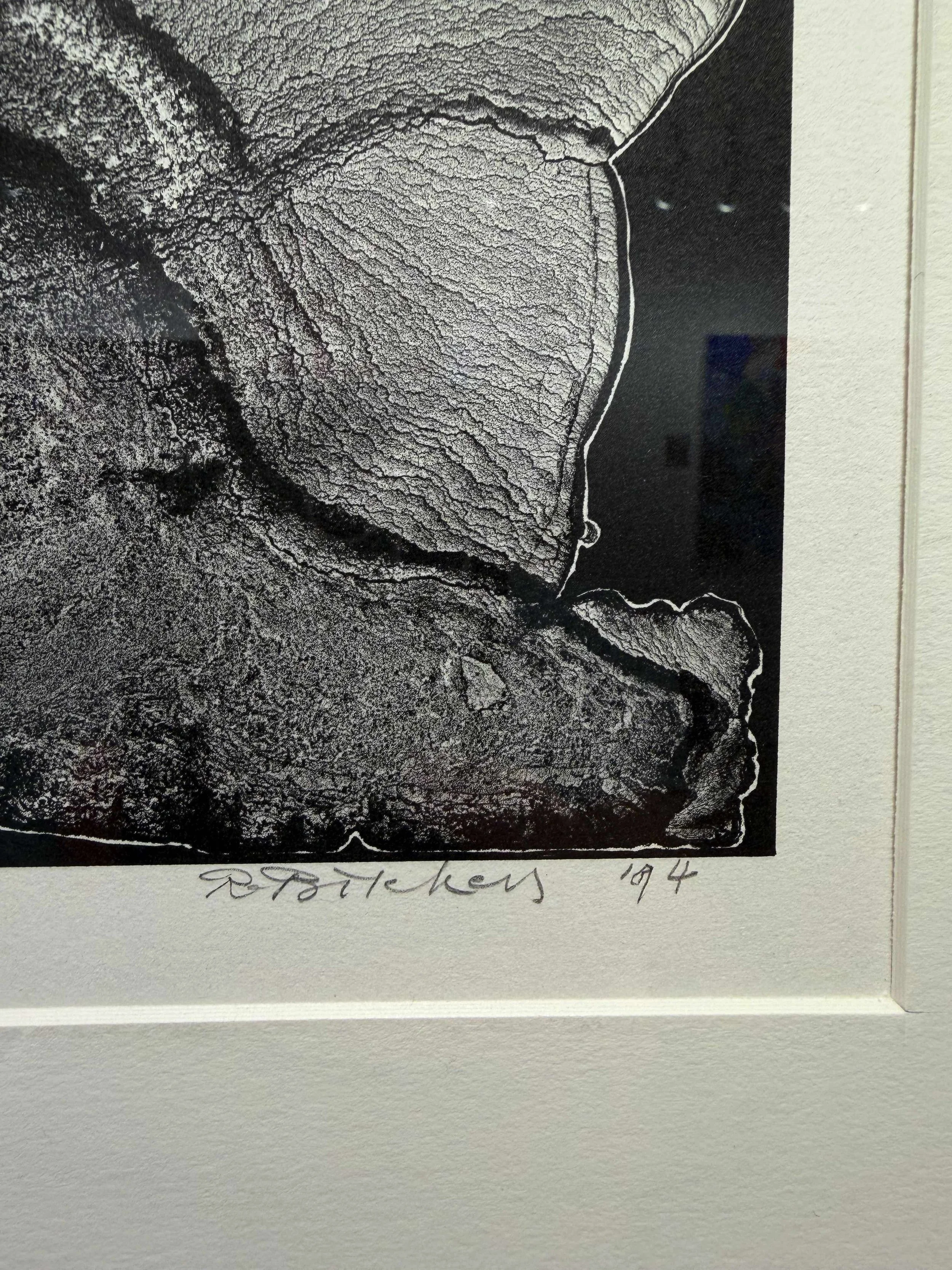 Photo 2026-02-13, 10 40 24 AM.jpg