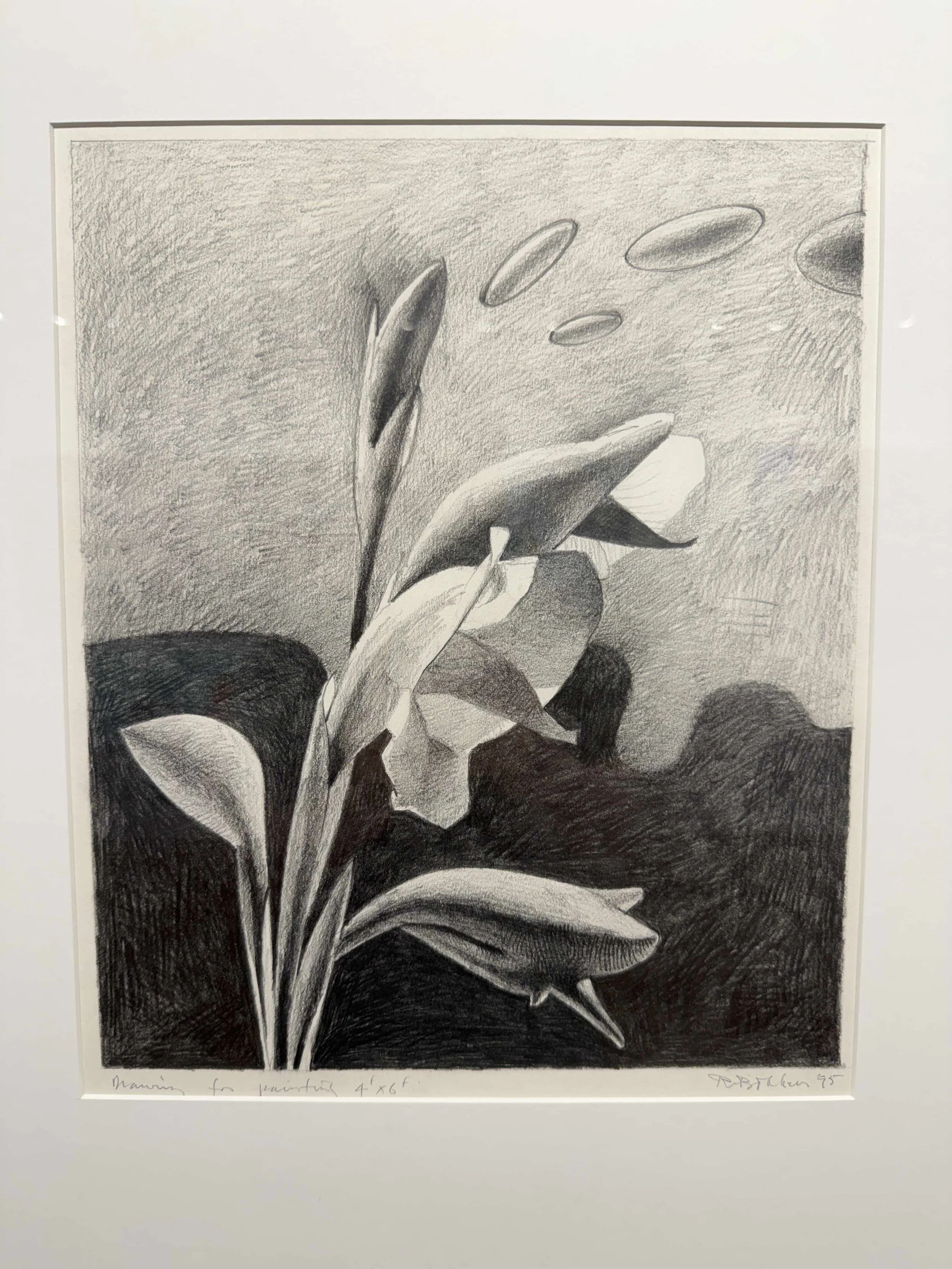 Photo 2026-02-10, 12 40 26 PM.jpg